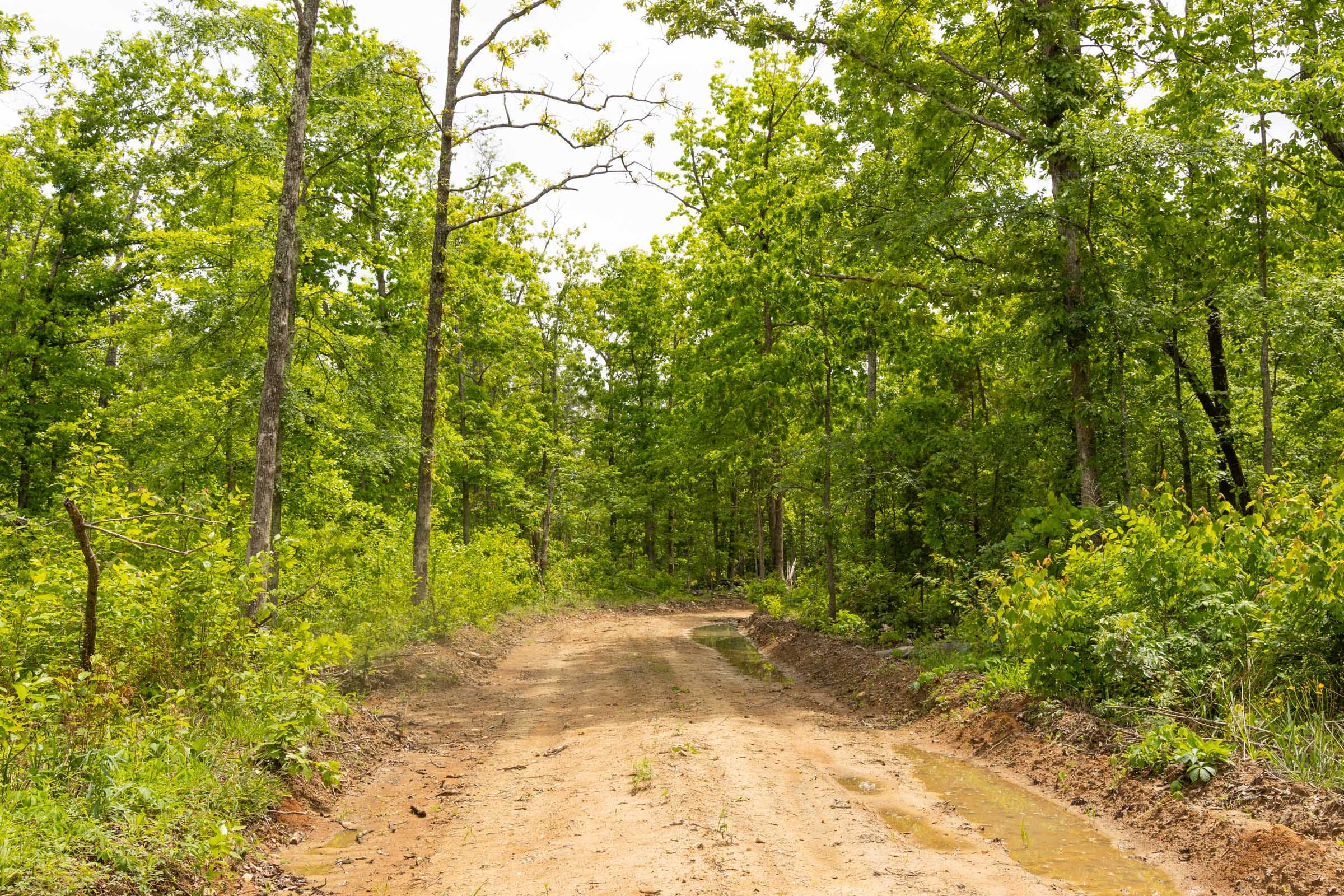 Stardust Estates Tract 12 photo 7