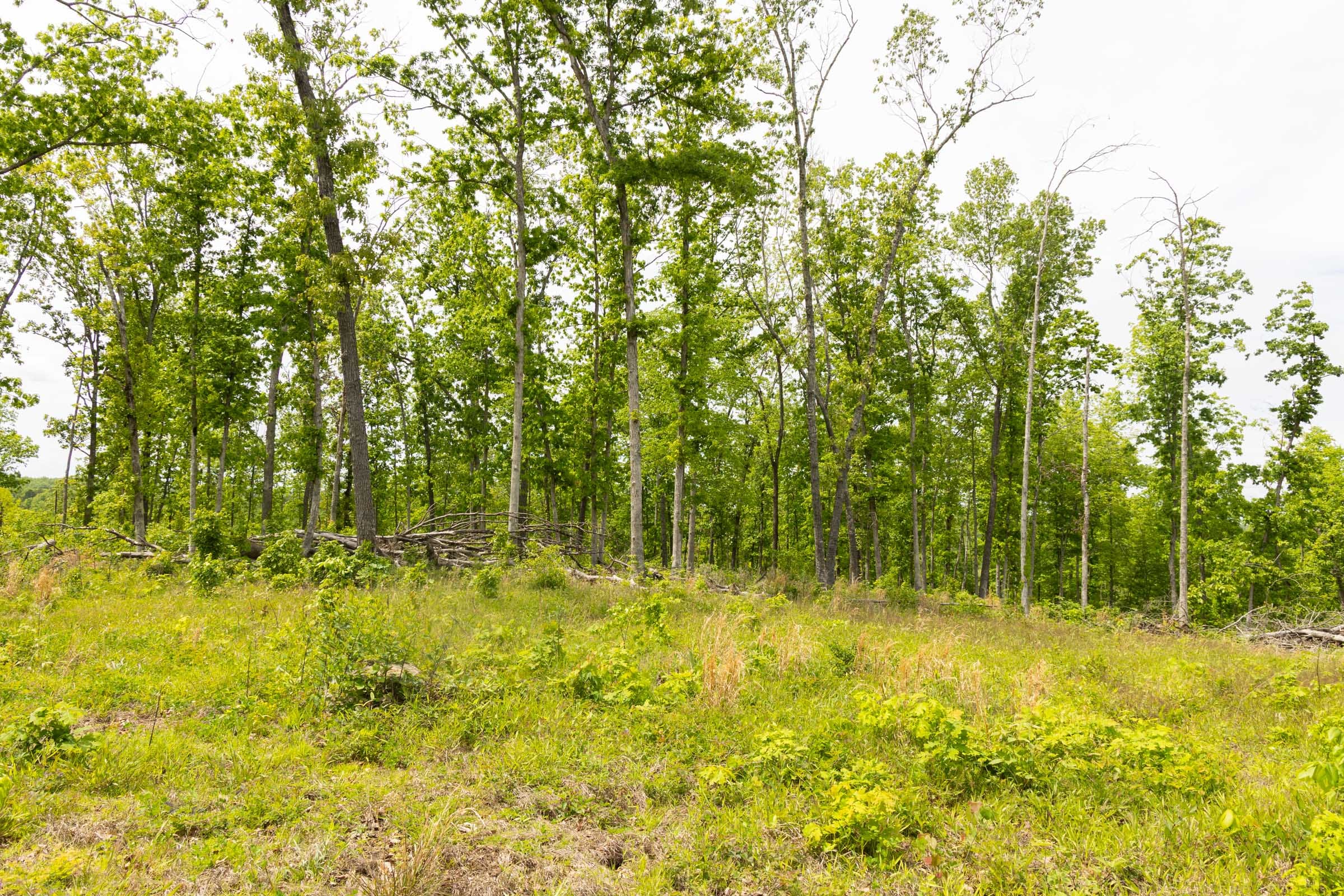 Stardust Estates Tract 12 photo 8