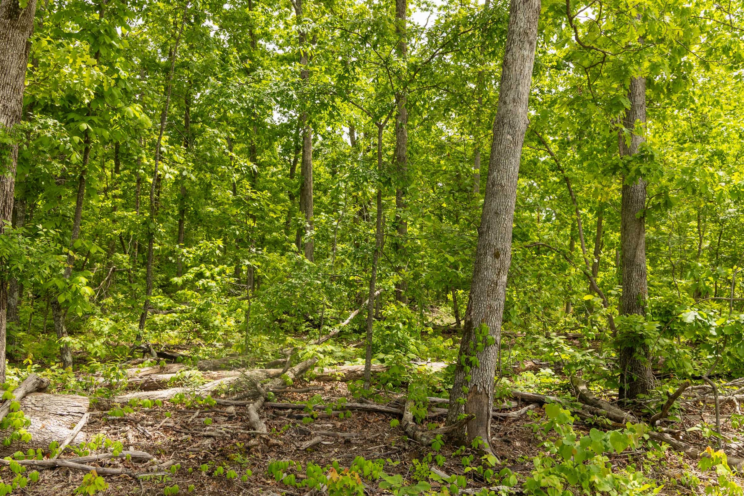 Stardust Estates Tract 12 photo 5