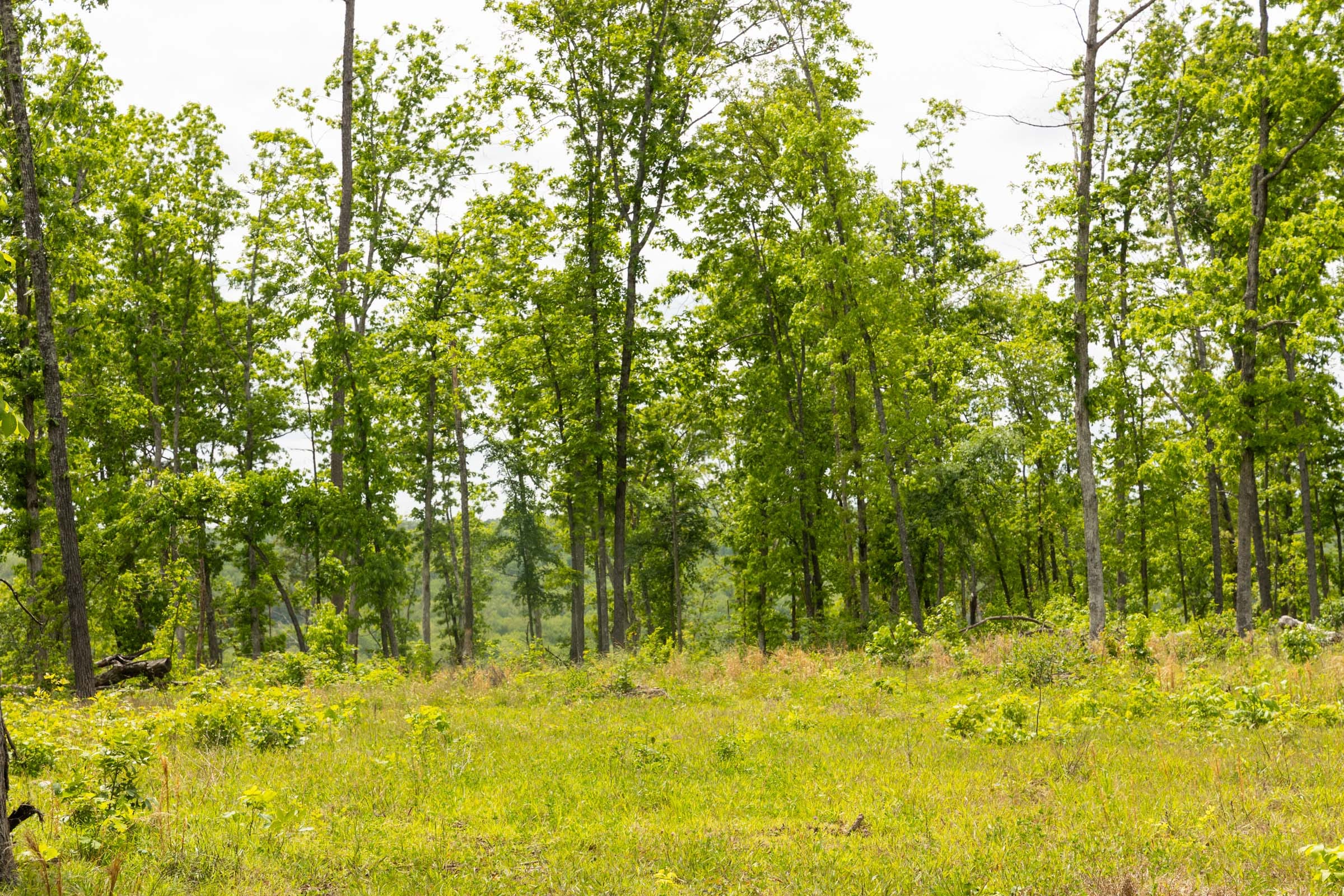 Stardust Estates Tract 12 photo 4
