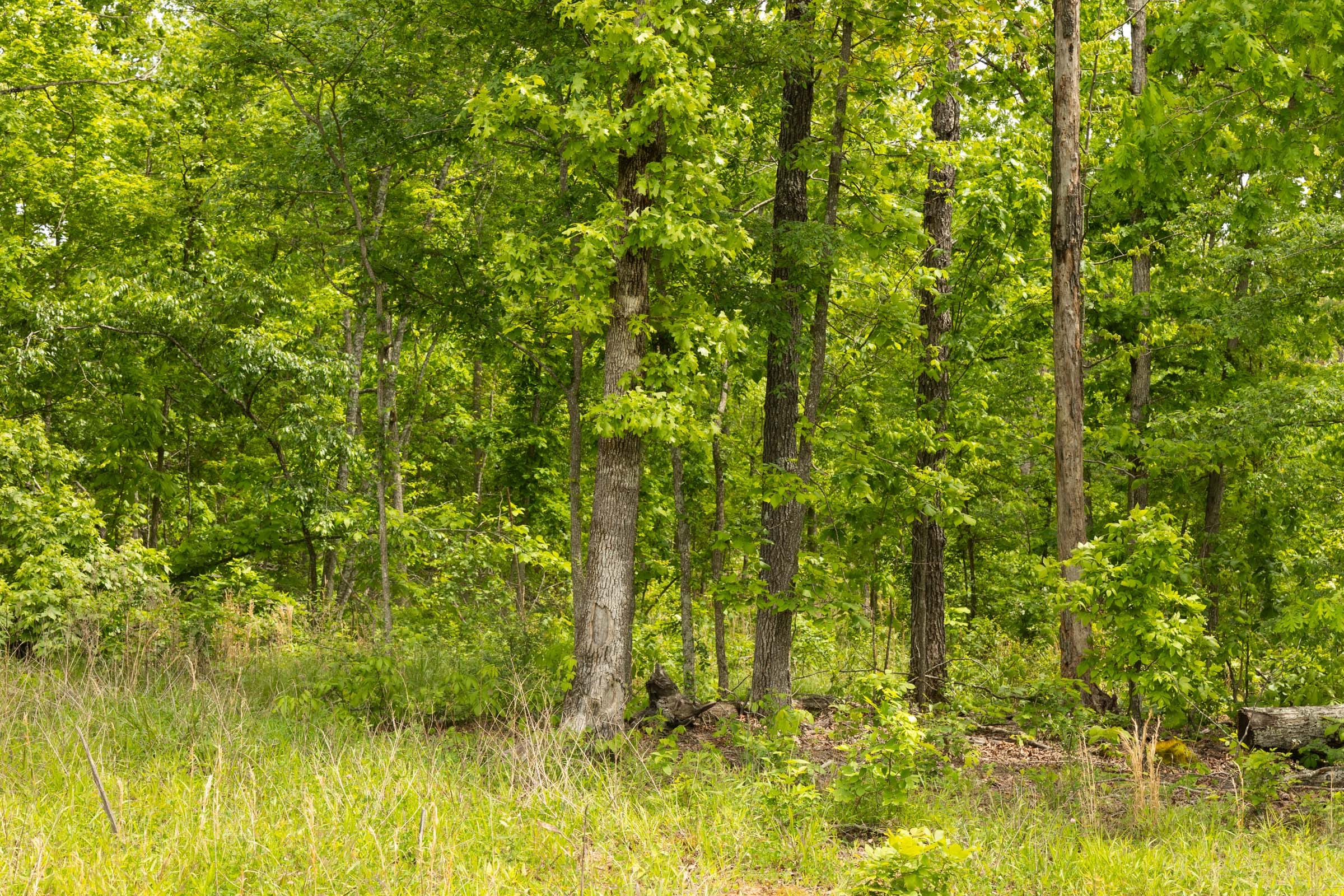 Stardust Estates Tract 12 photo 3