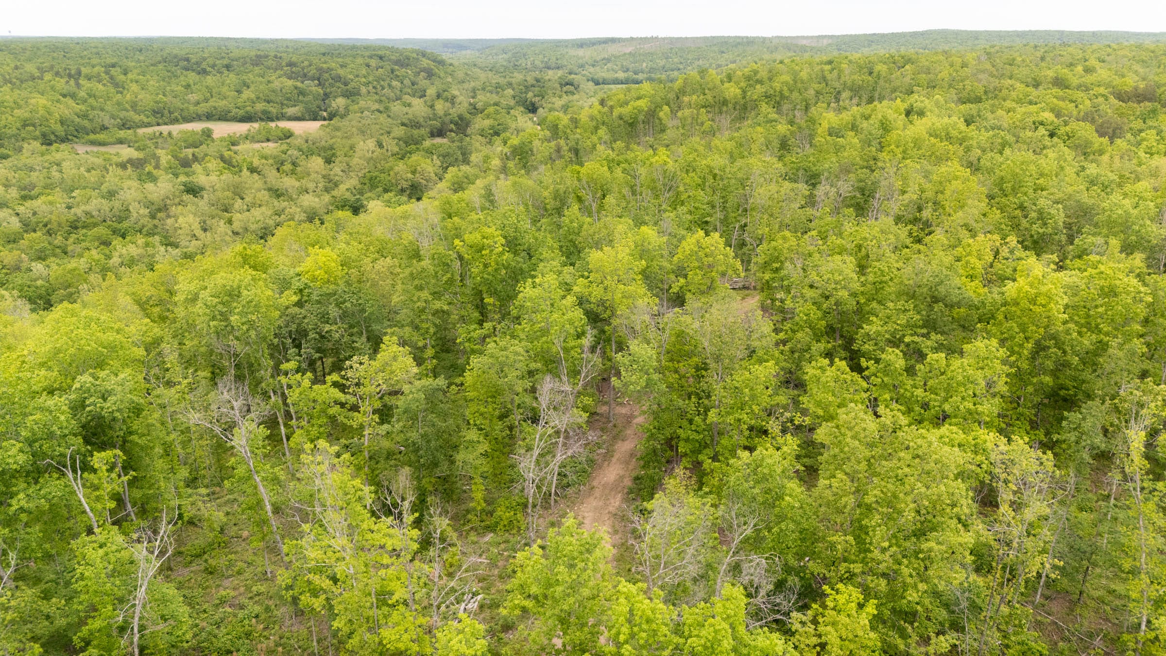 Stardust Estates Tract 36 photo 2