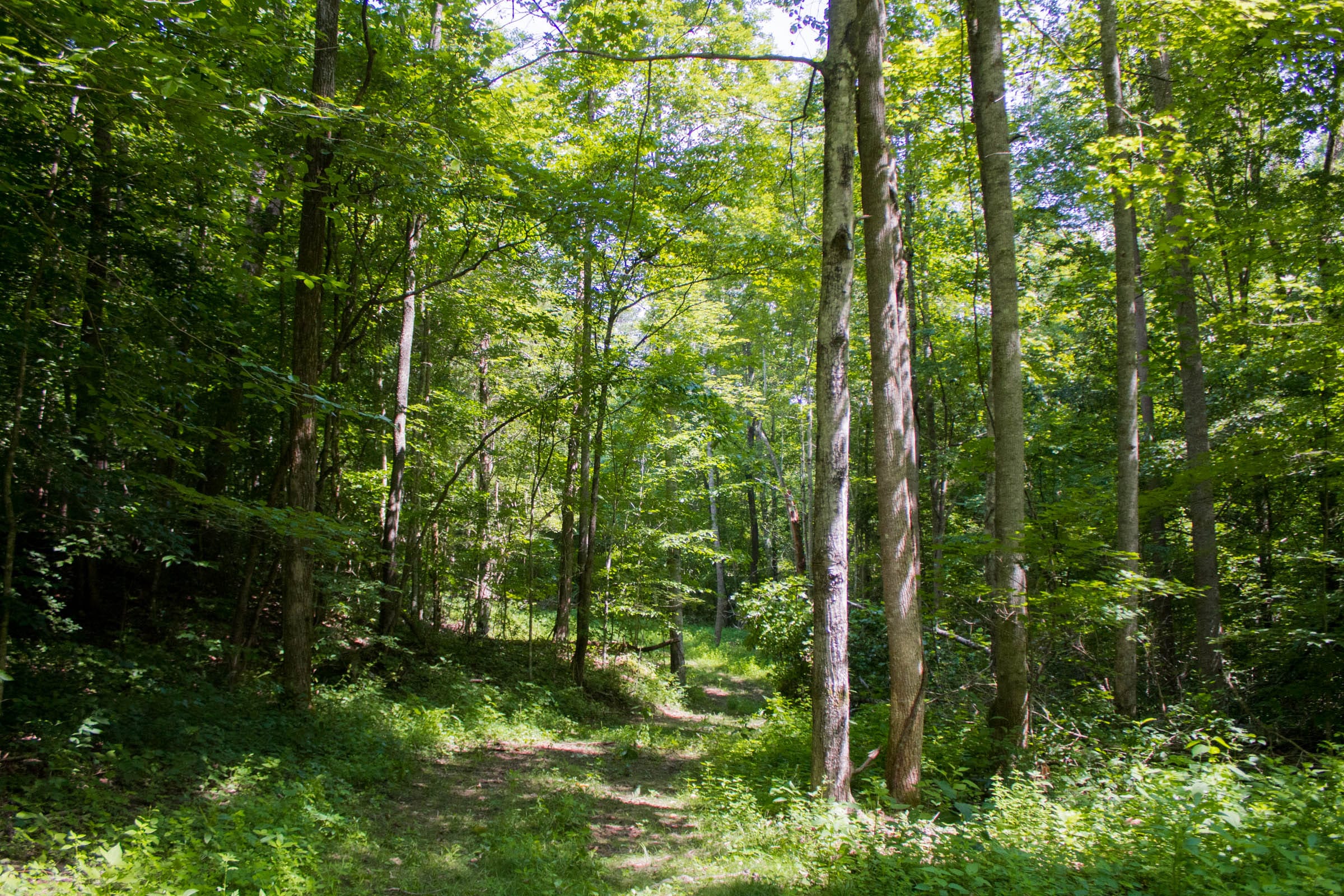 Bluewater Ridge Tract 10 photo 1