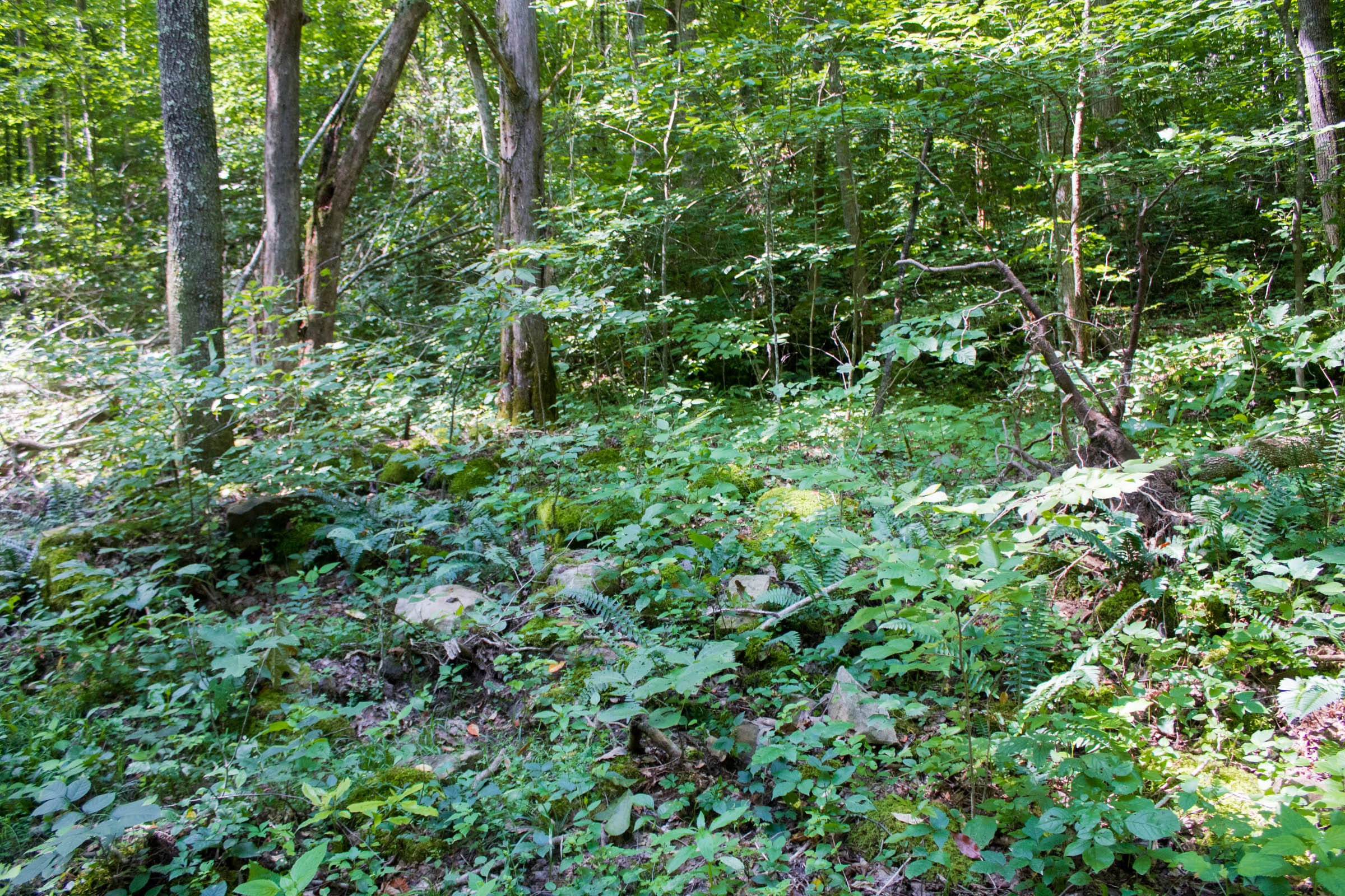 Bluewater Ridge Tract 10 photo 5