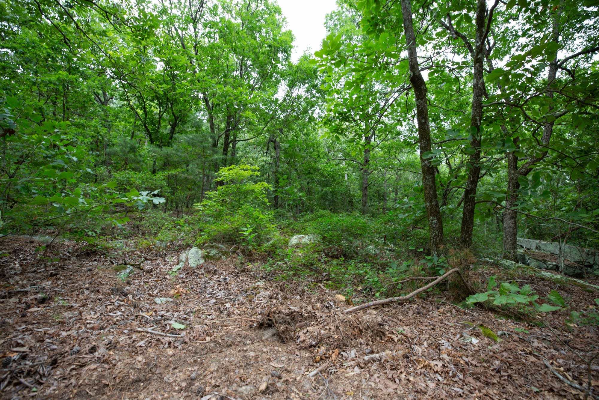 Eagle’s Nest Tract 83 photo 3