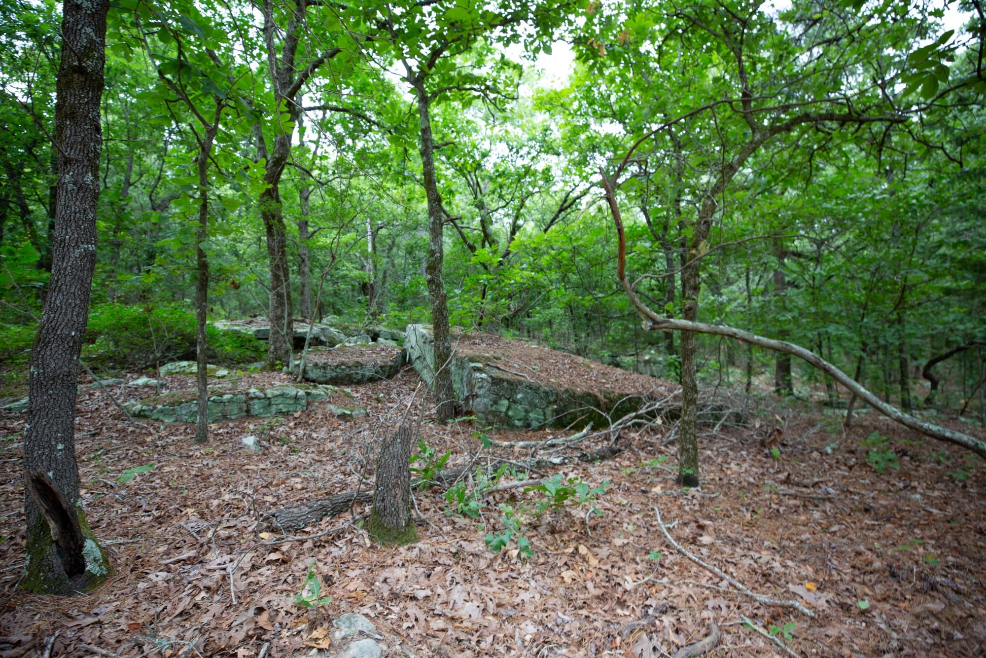 Eagle’s Nest Tract 83 photo 4