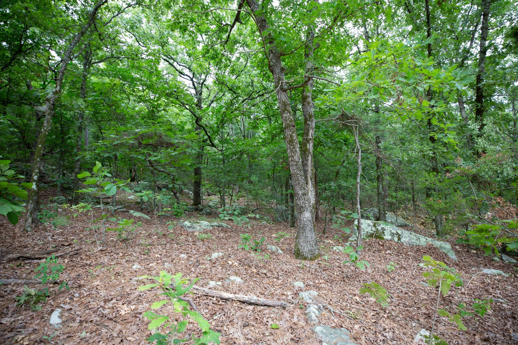 Eagle’s Nest Tract 83 photo 5