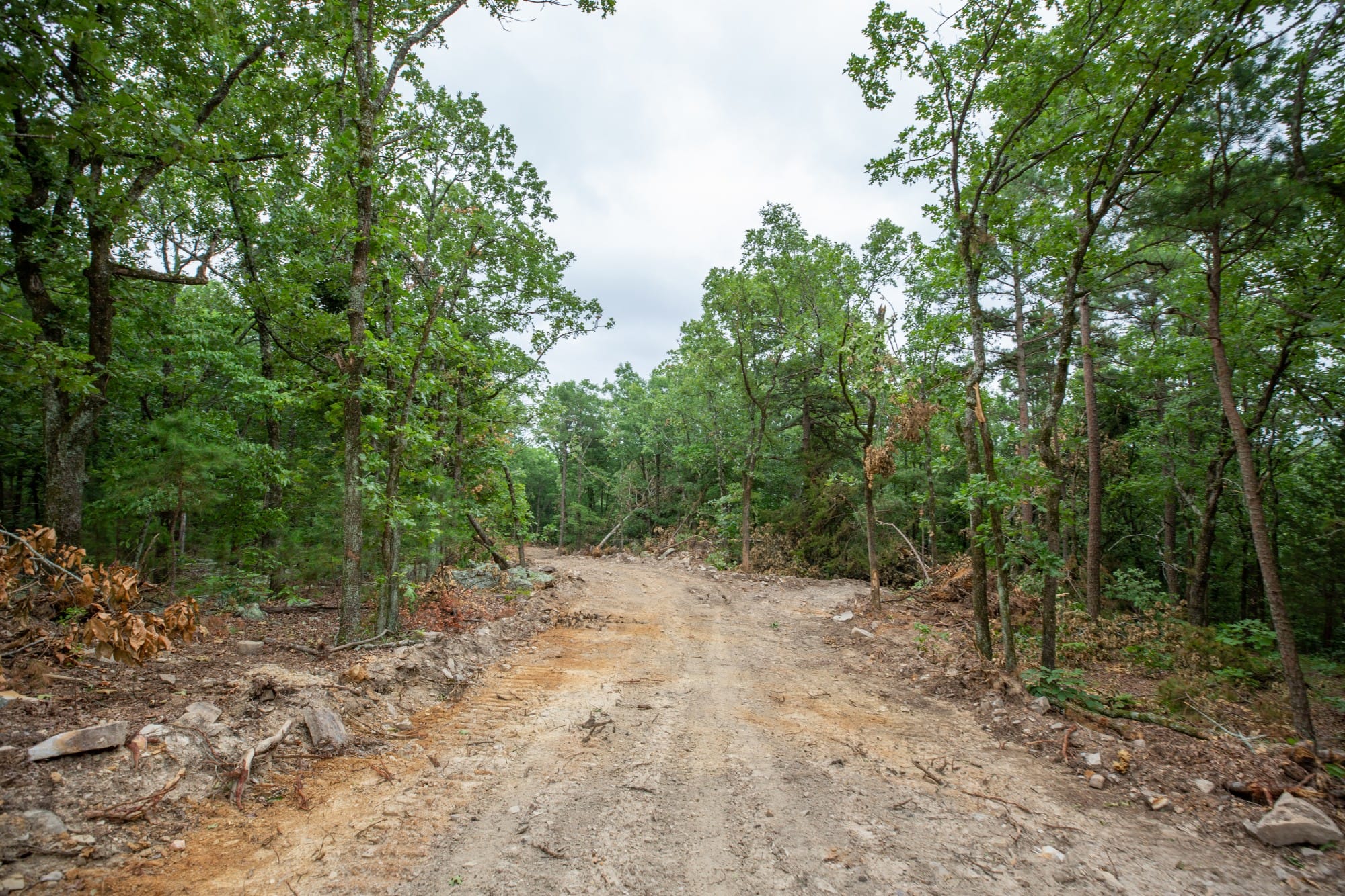 Eagle’s Nest Tract 83 photo 2