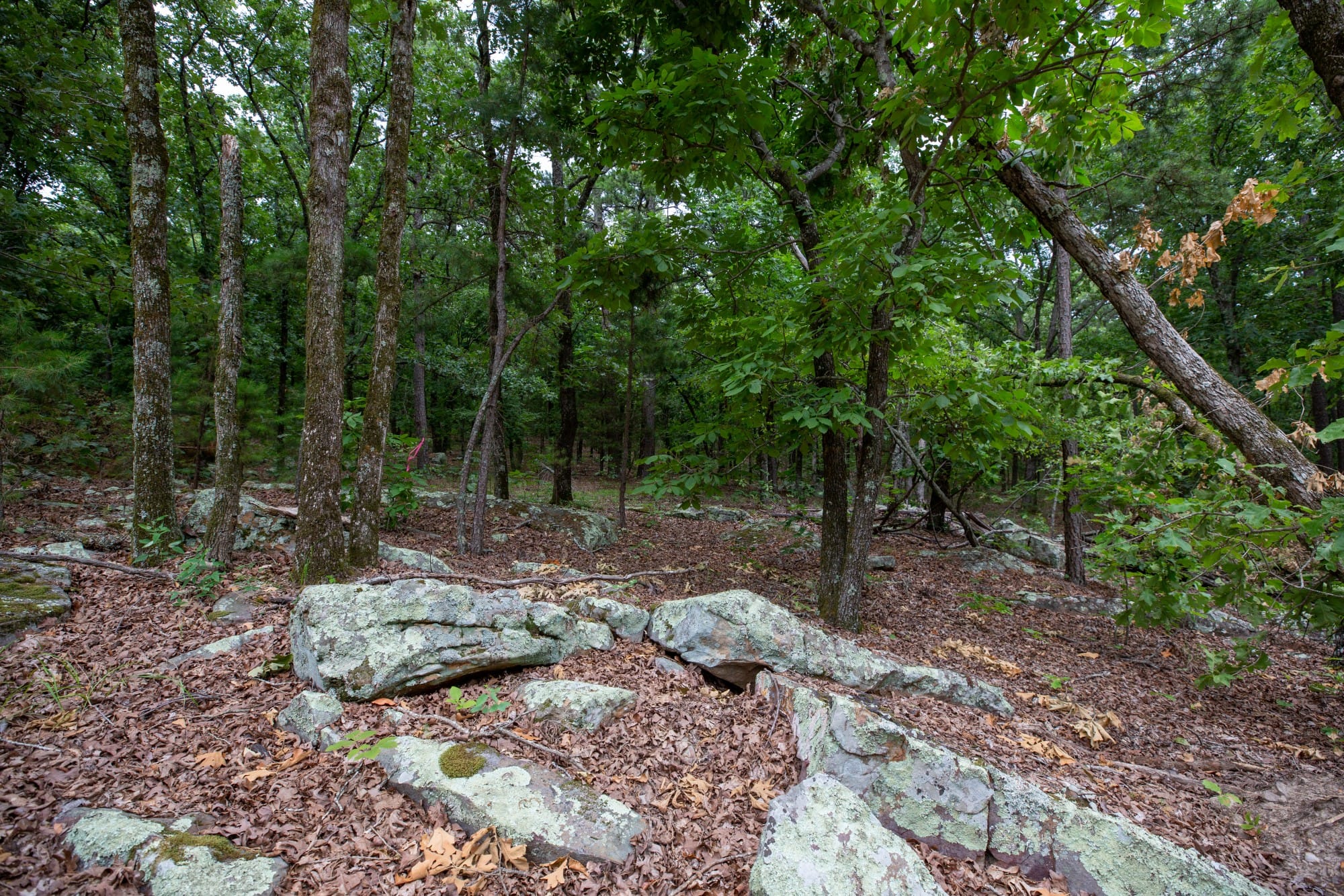 Eagle’s Nest Tract 83 photo 7