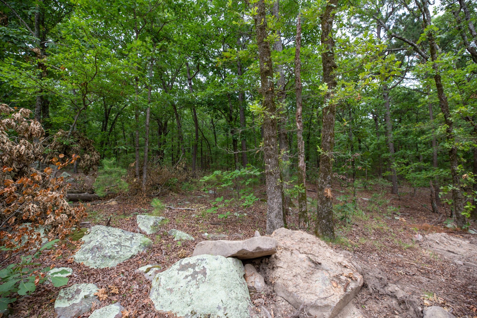 Eagle’s Nest Tract 83 photo 8
