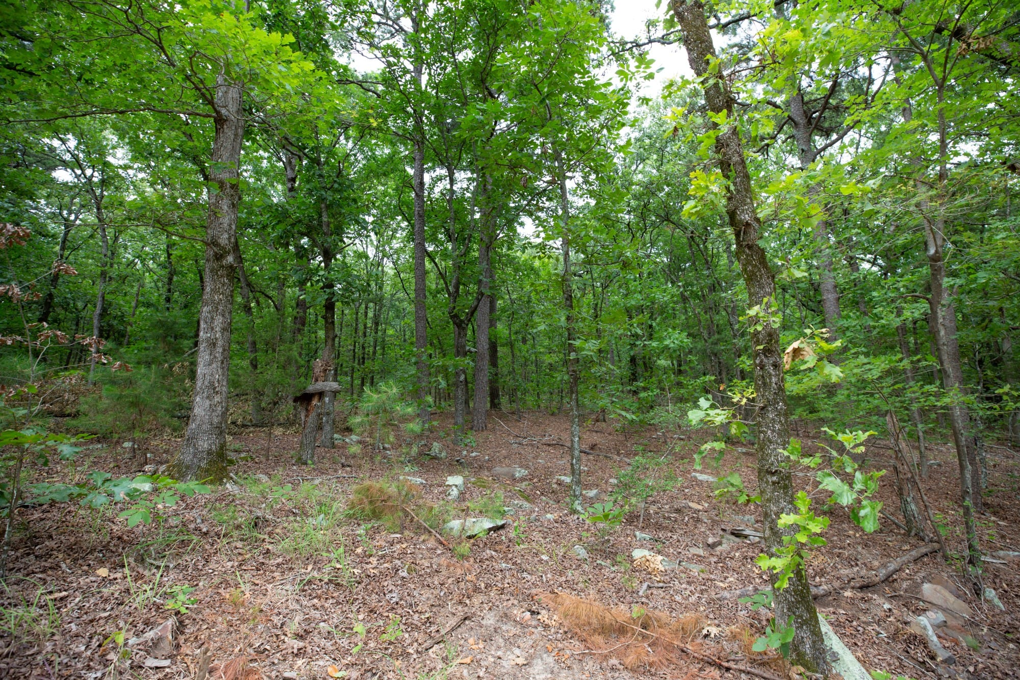 Eagle’s Nest Tract 83 photo 9