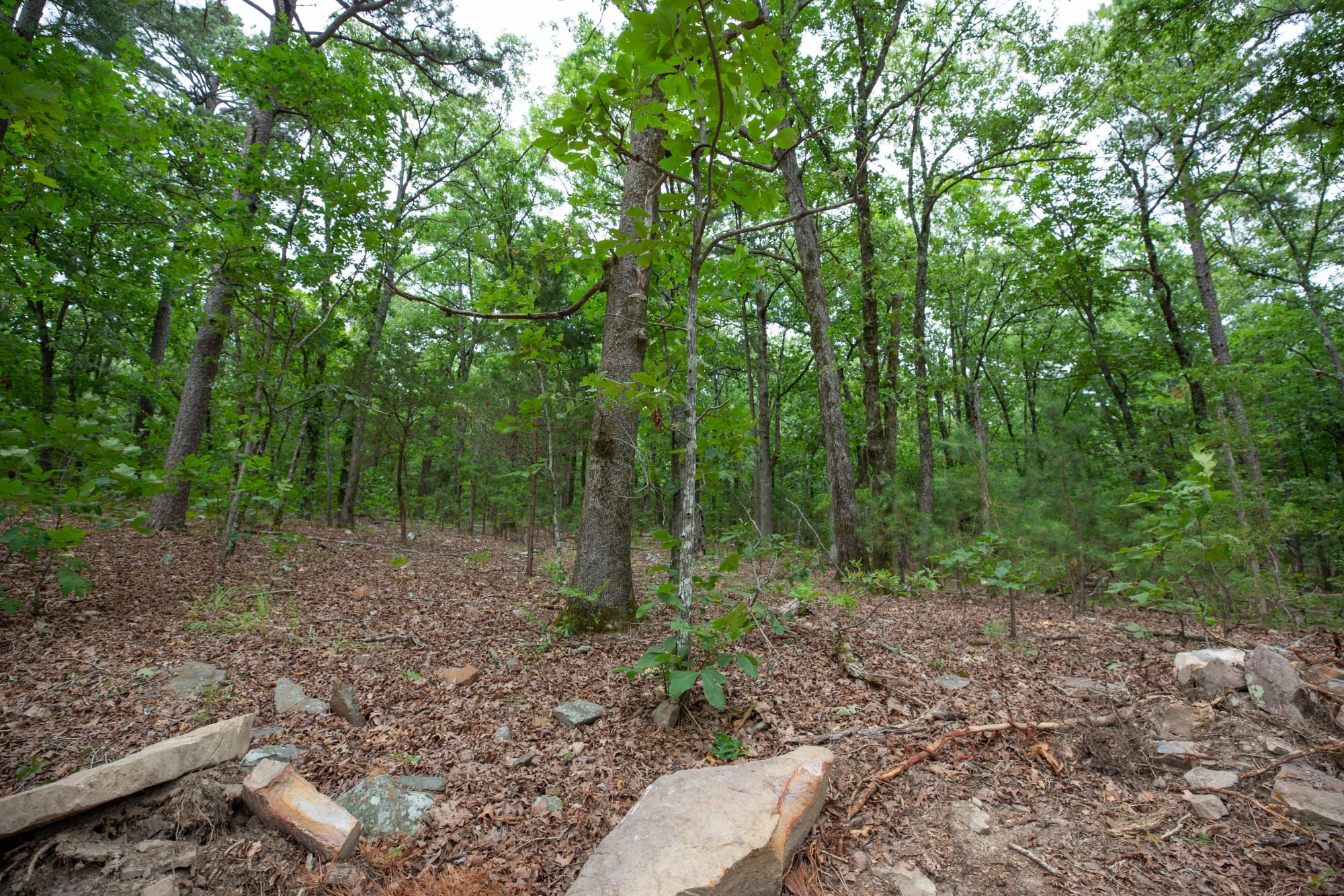 Eagle’s Nest Tract 83 photo 10
