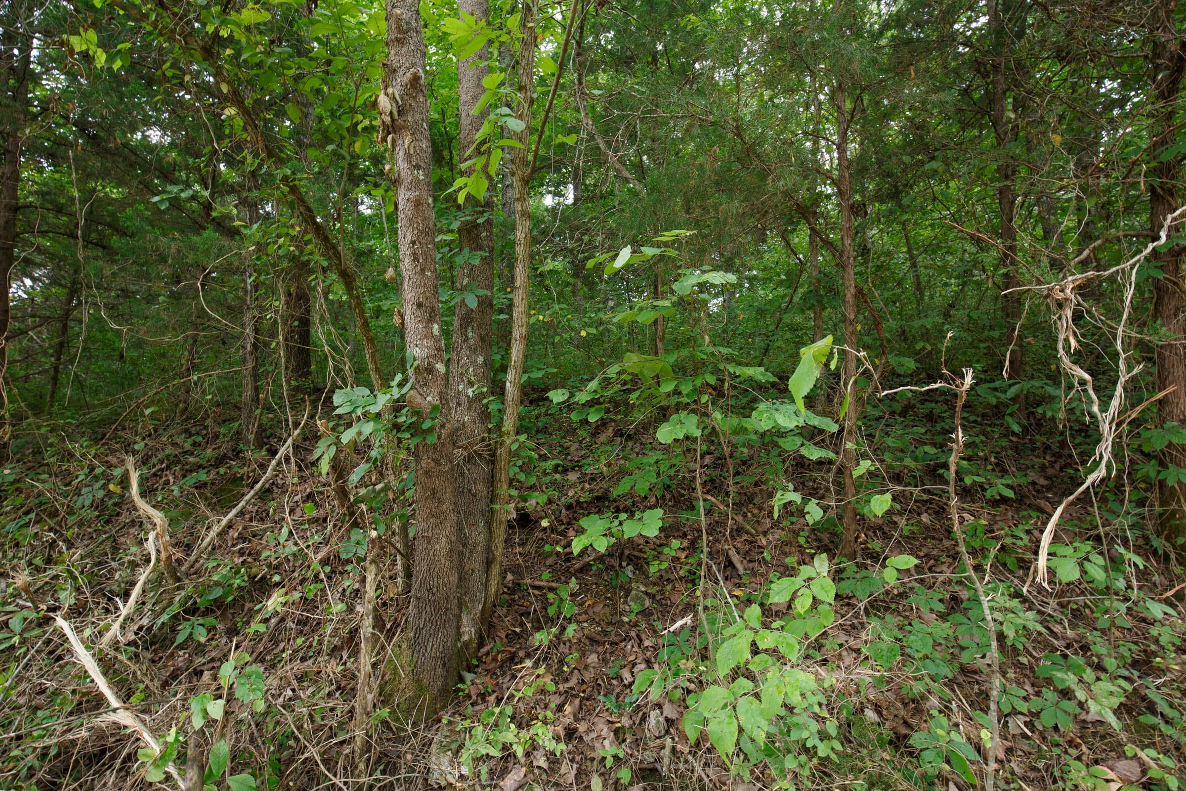 Spring Lake Plat 4 Tract 116 photo 2