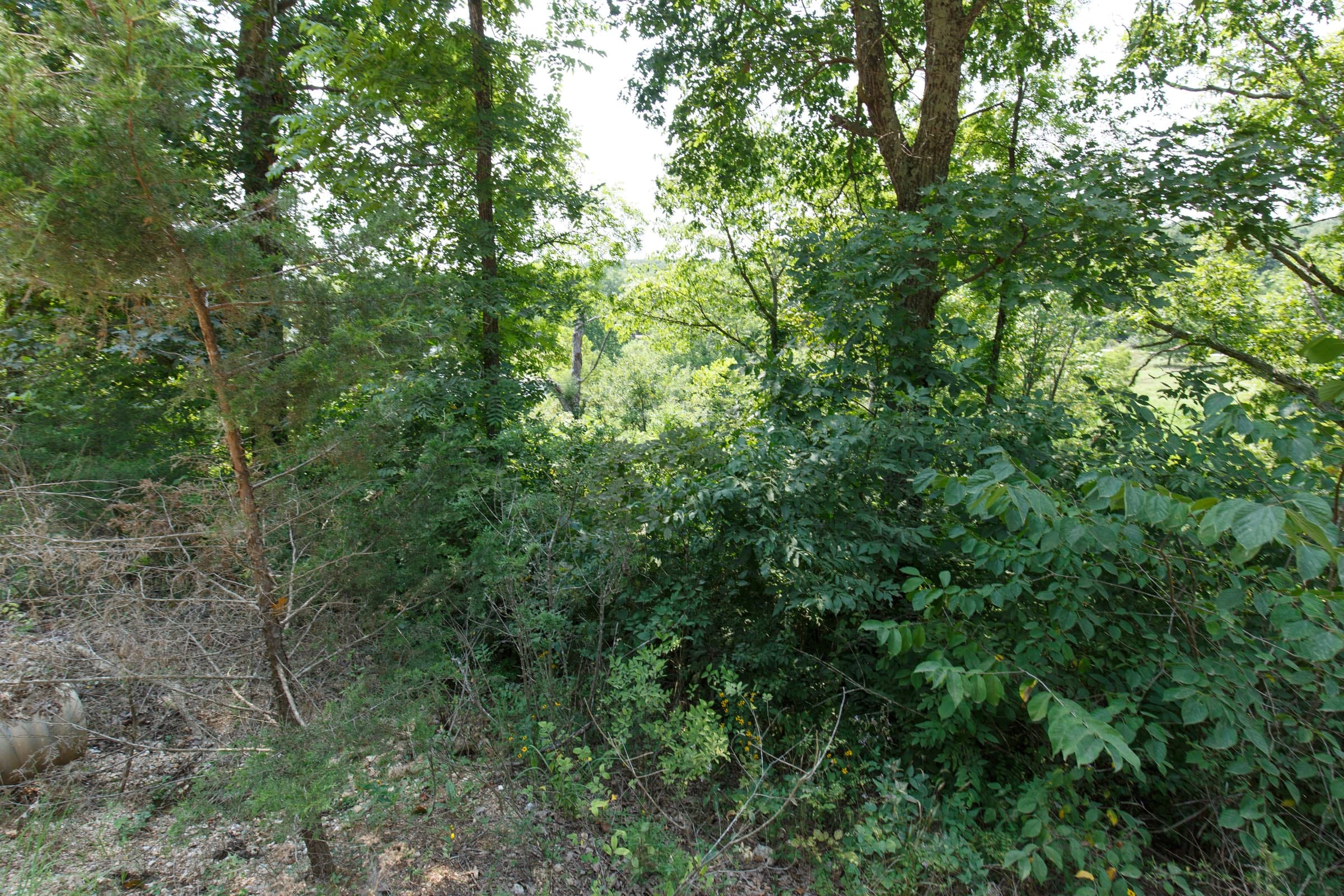 Spring Lake Plat 4 Tract 116 photo 4