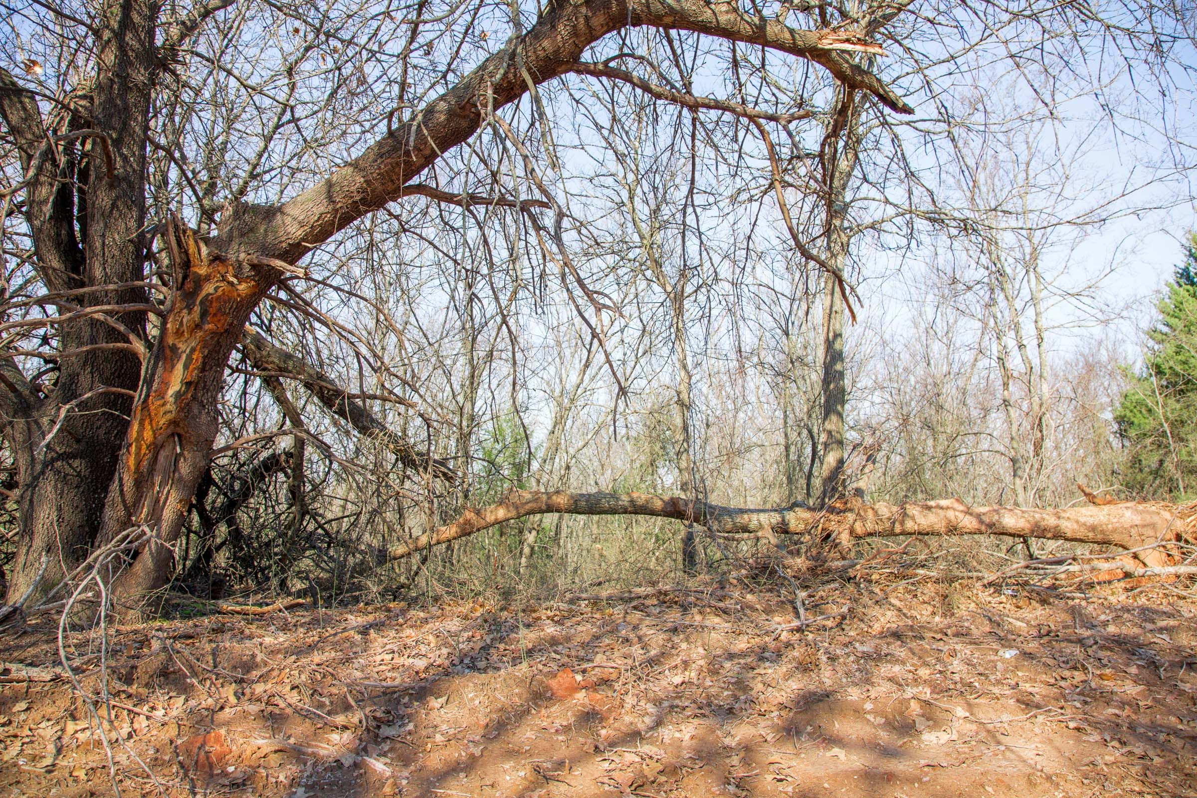 Eufaula Cove Tract 16 photo 5