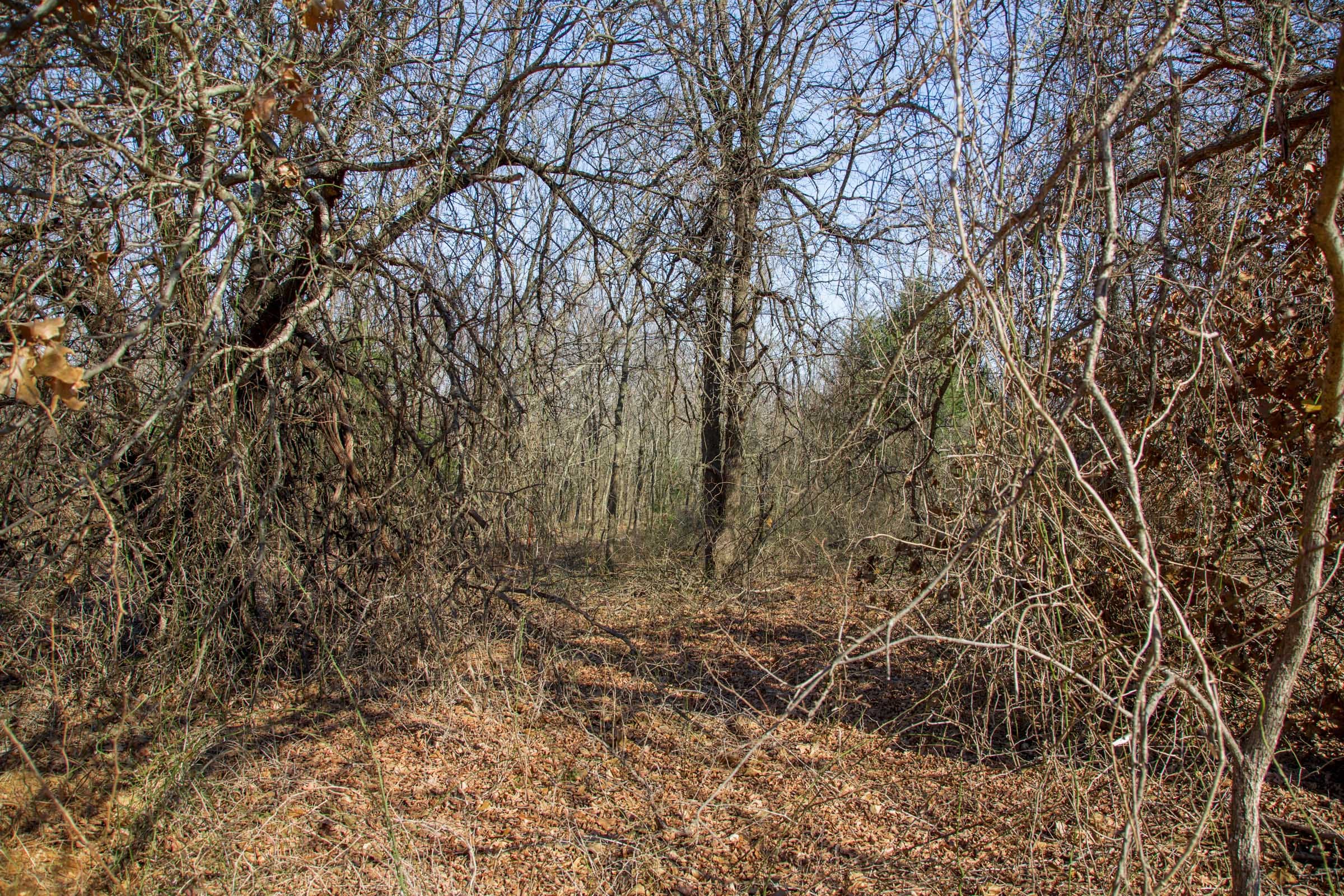 Eufaula Cove Tract 16 photo 6
