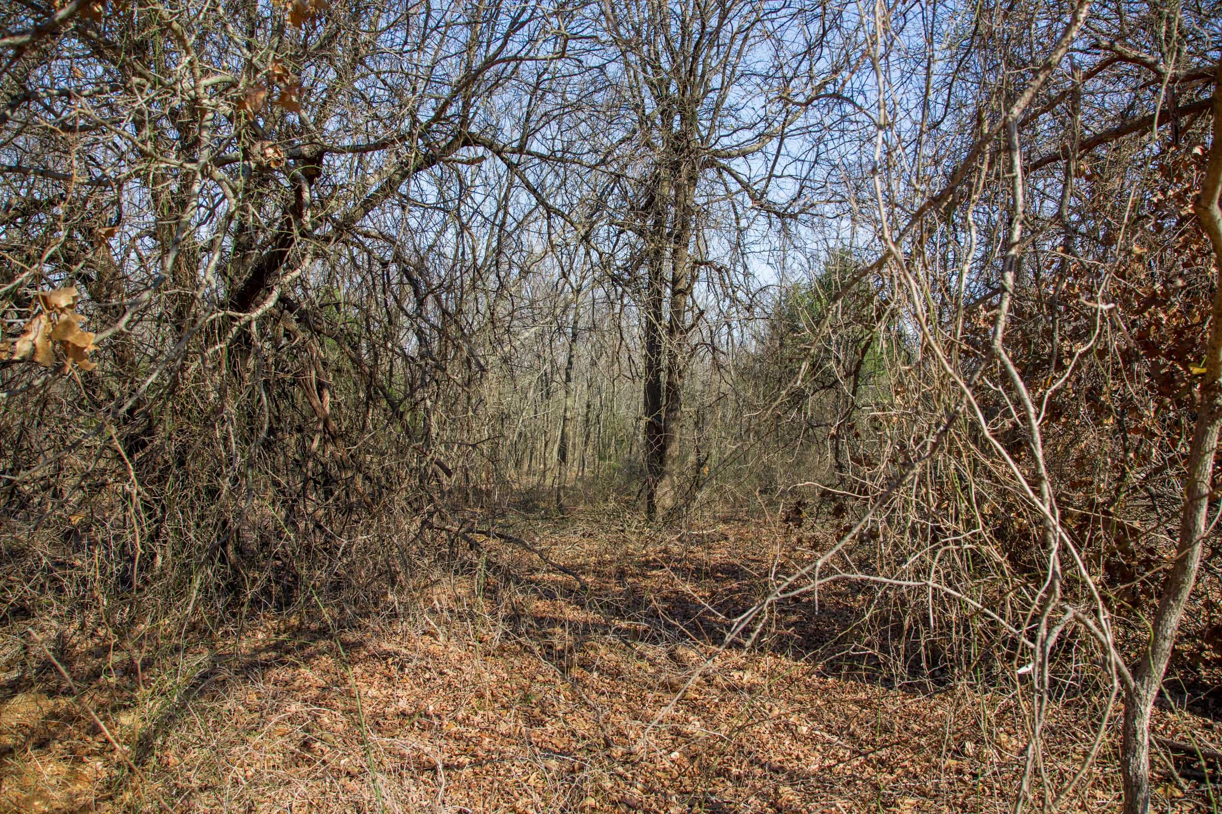 Eufaula Cove Tract 16 photo 7