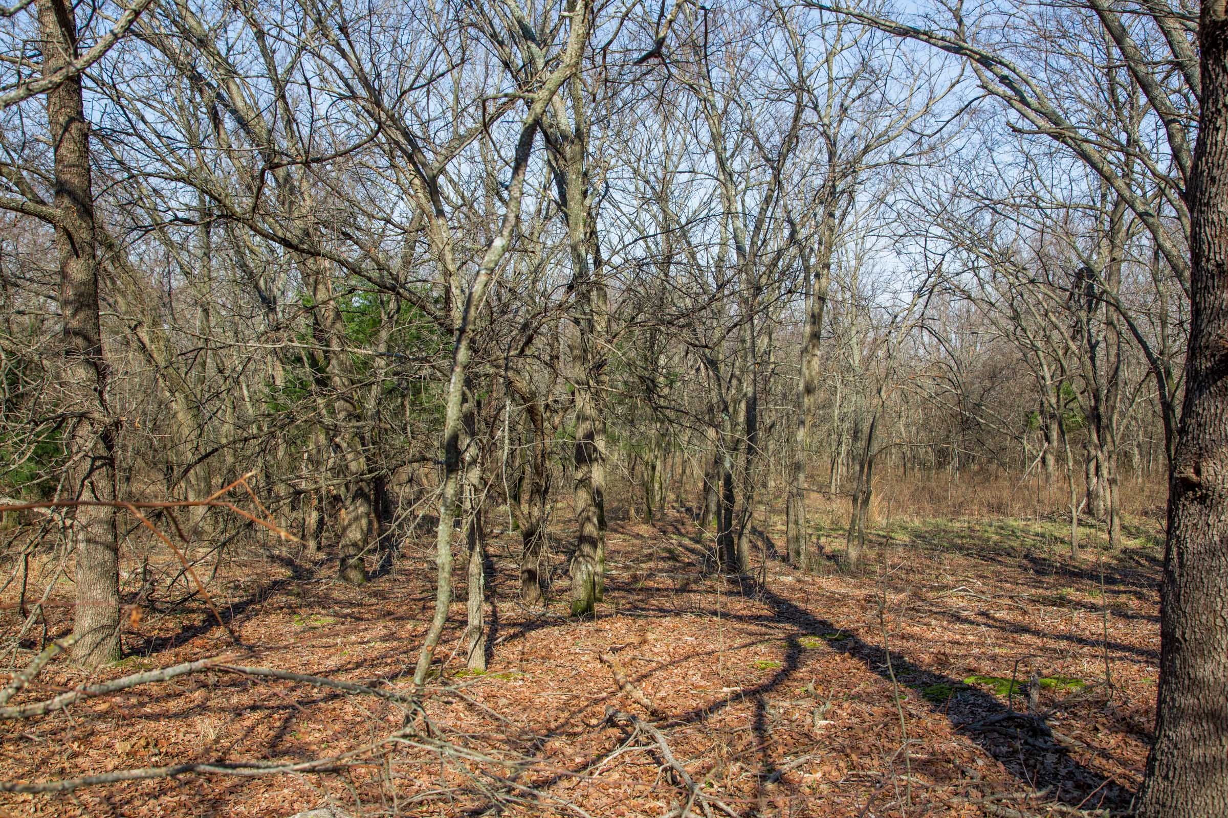 Eufaula Cove Tract 16 photo 10
