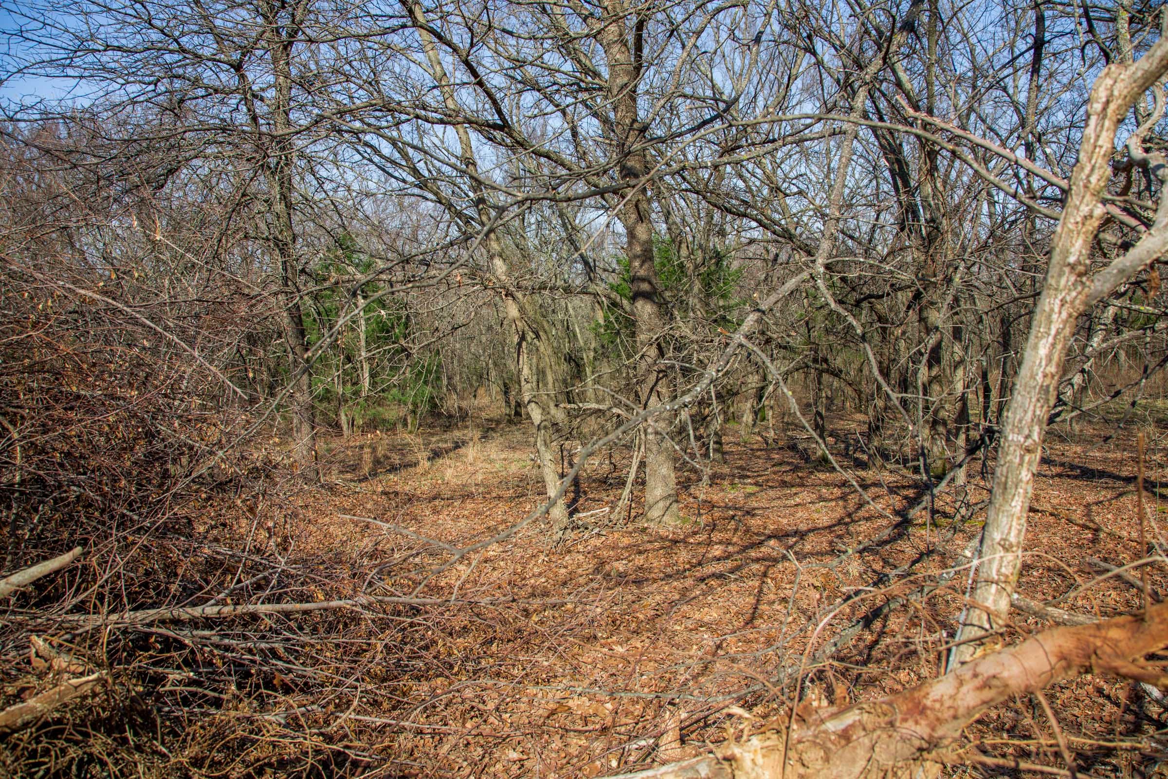 Eufaula Cove Tract 16 photo 11