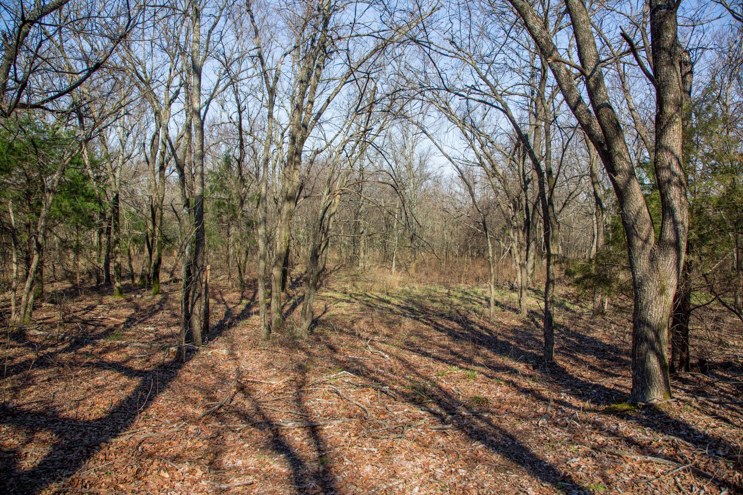 Eufaula Cove Tract 16 photo 12