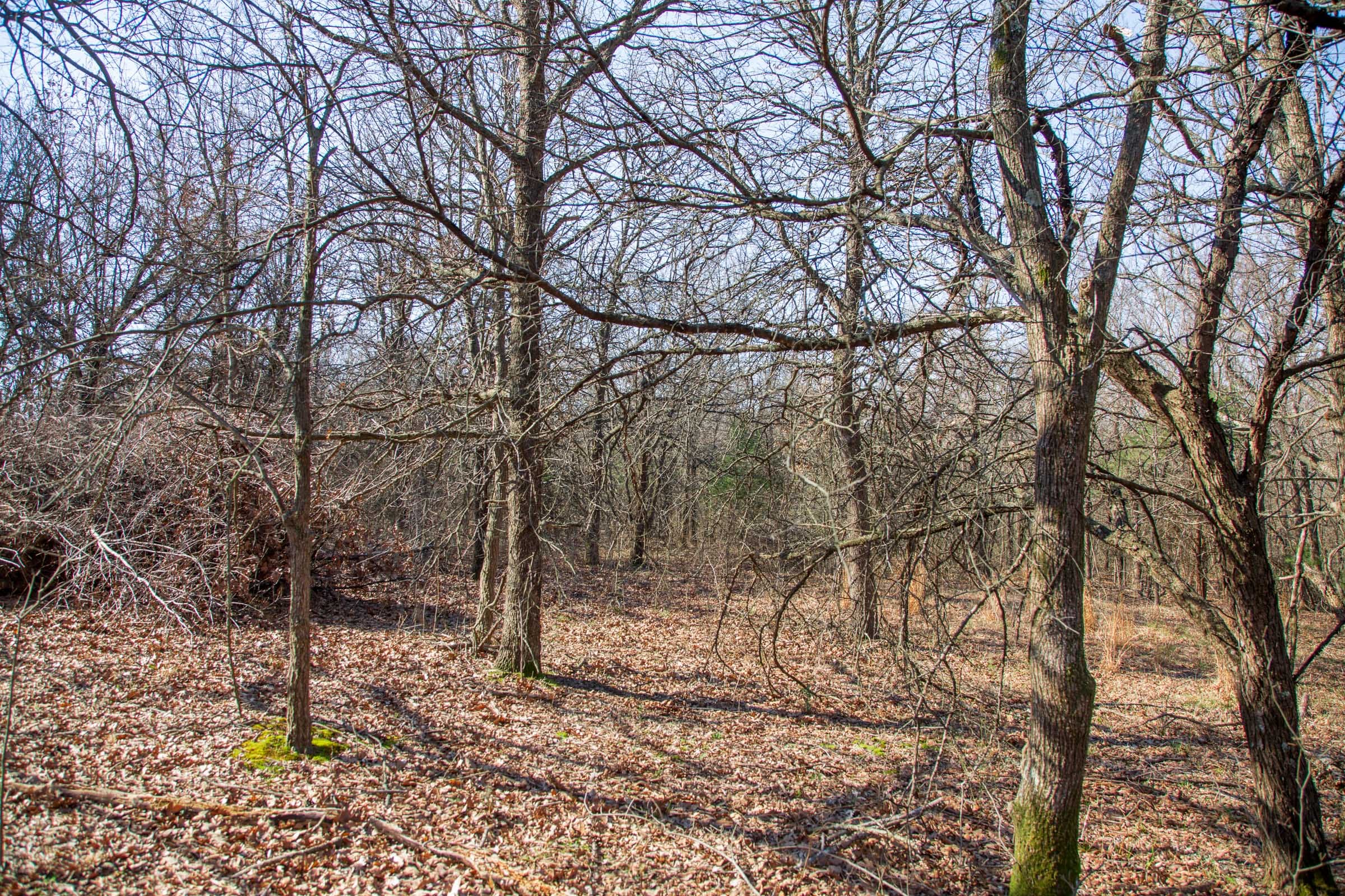 Eufaula Cove Tract 16 photo 14