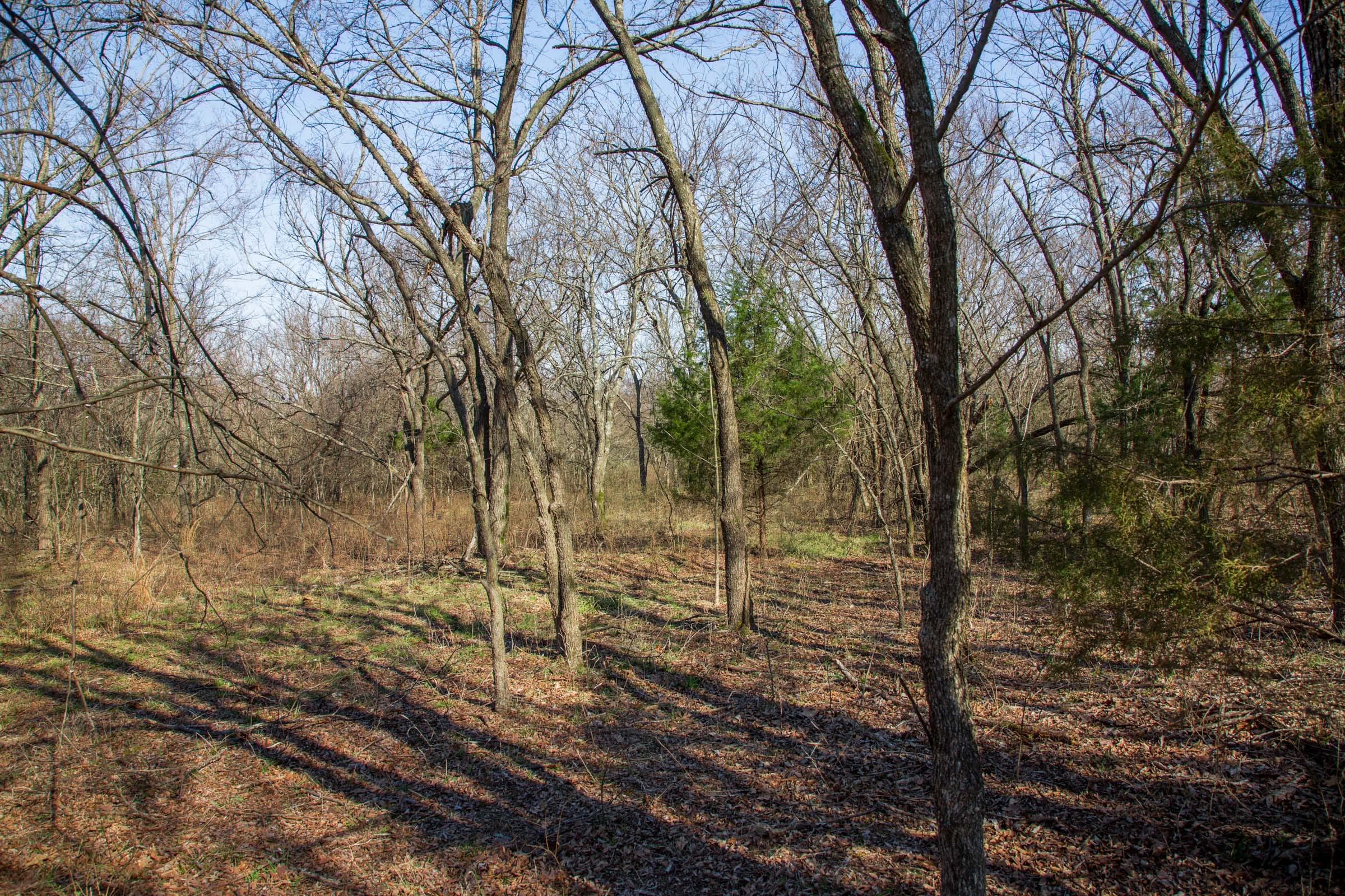 Eufaula Cove Tract 16 photo 15