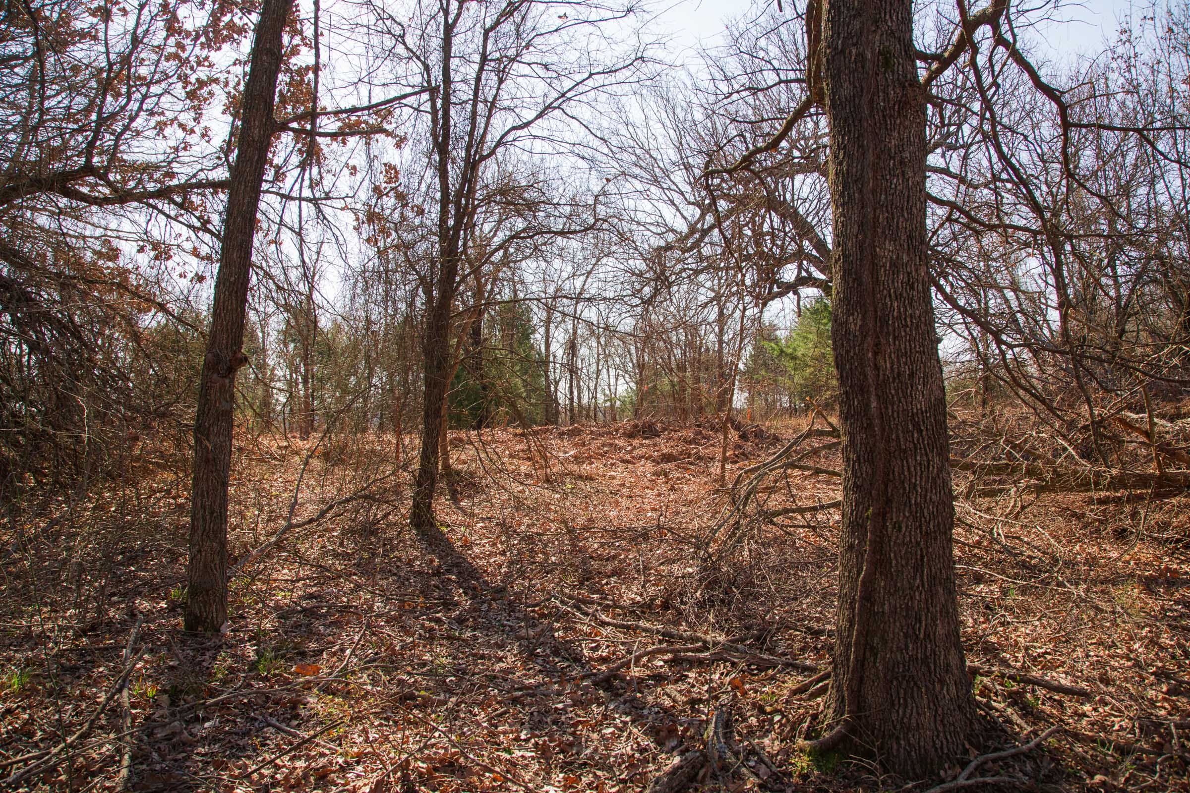 Eufaula Cove Tract 16 photo 17