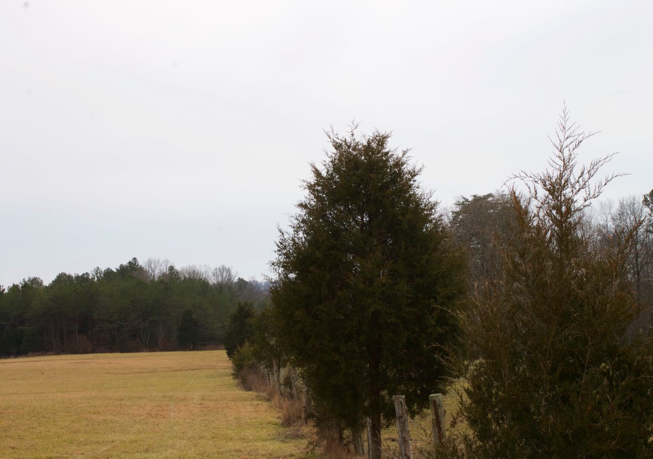 Majestic Rock Ranch Tract 2 photo 5