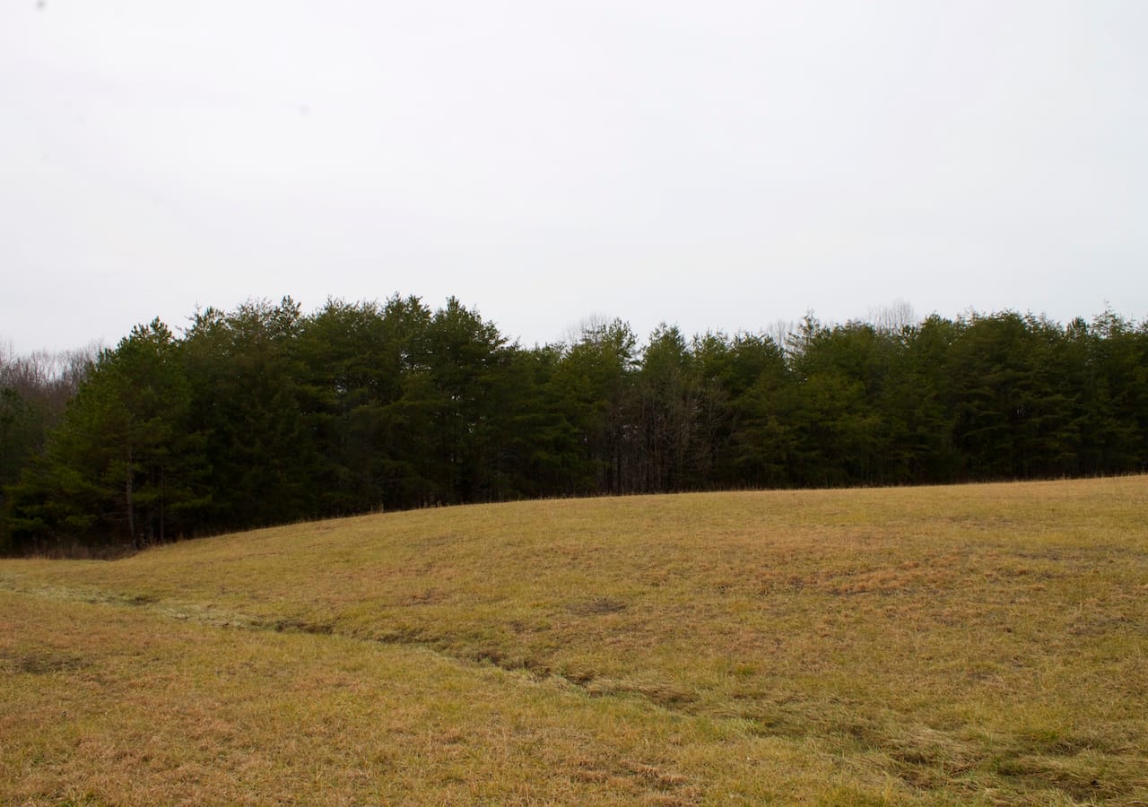 Majestic Rock Ranch Tract 2 photo 7