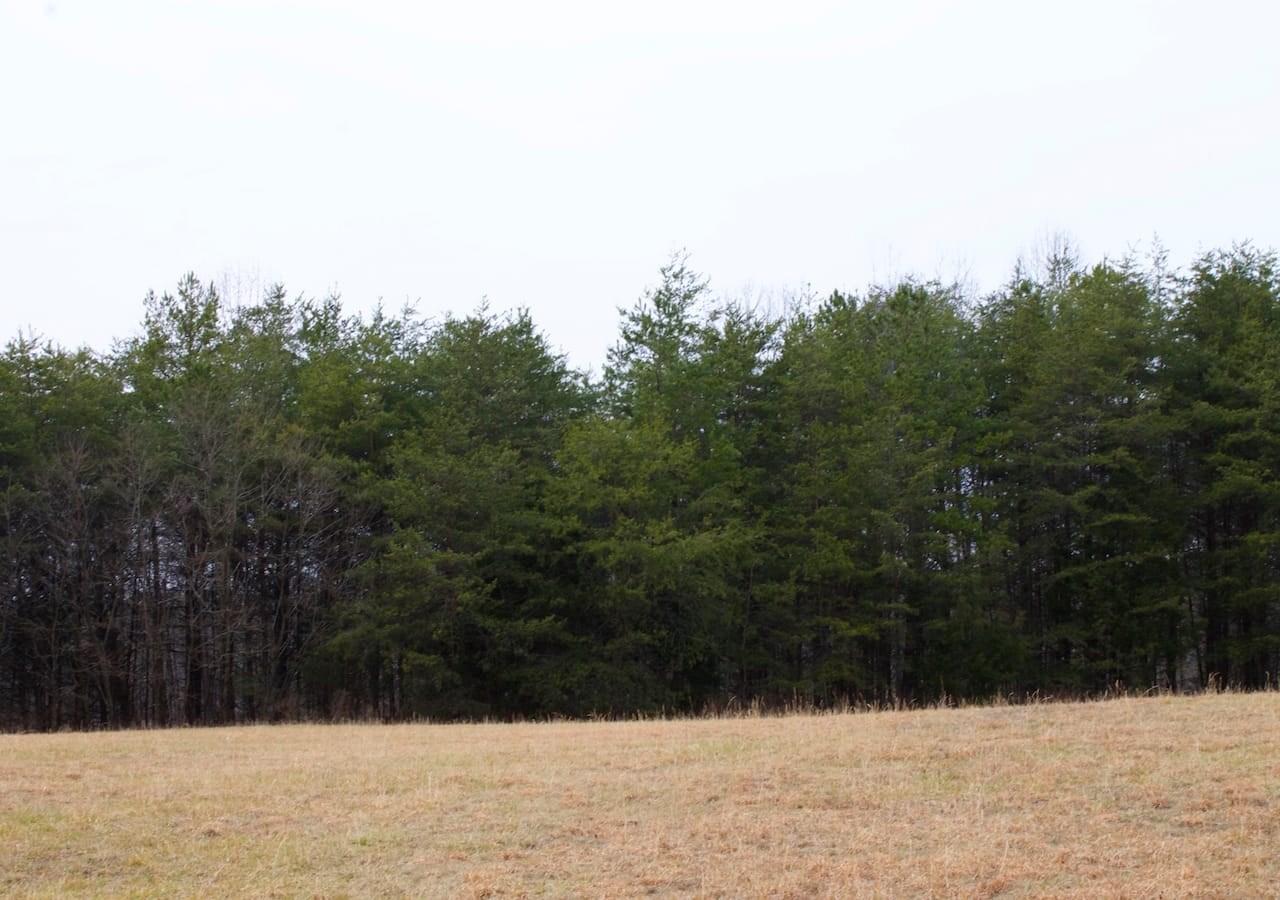 Majestic Rock Ranch Tract 2 photo 8