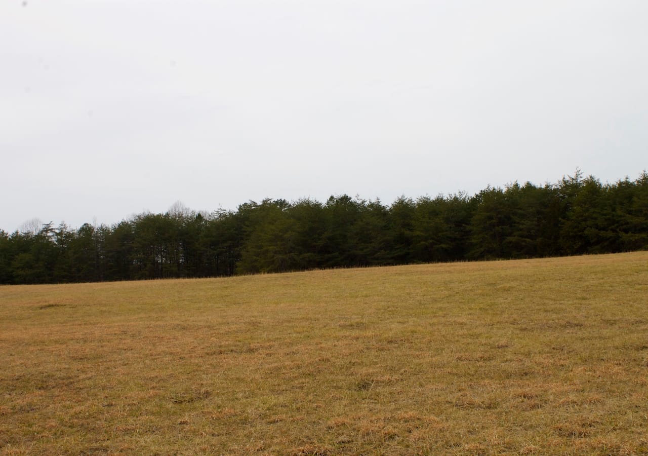 Majestic Rock Ranch Tract 2 photo 9
