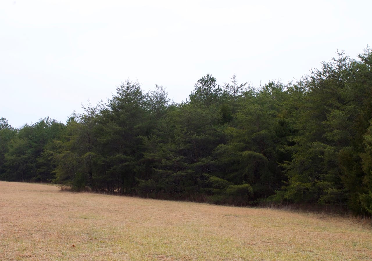 Majestic Rock Ranch Tract 2 photo 10