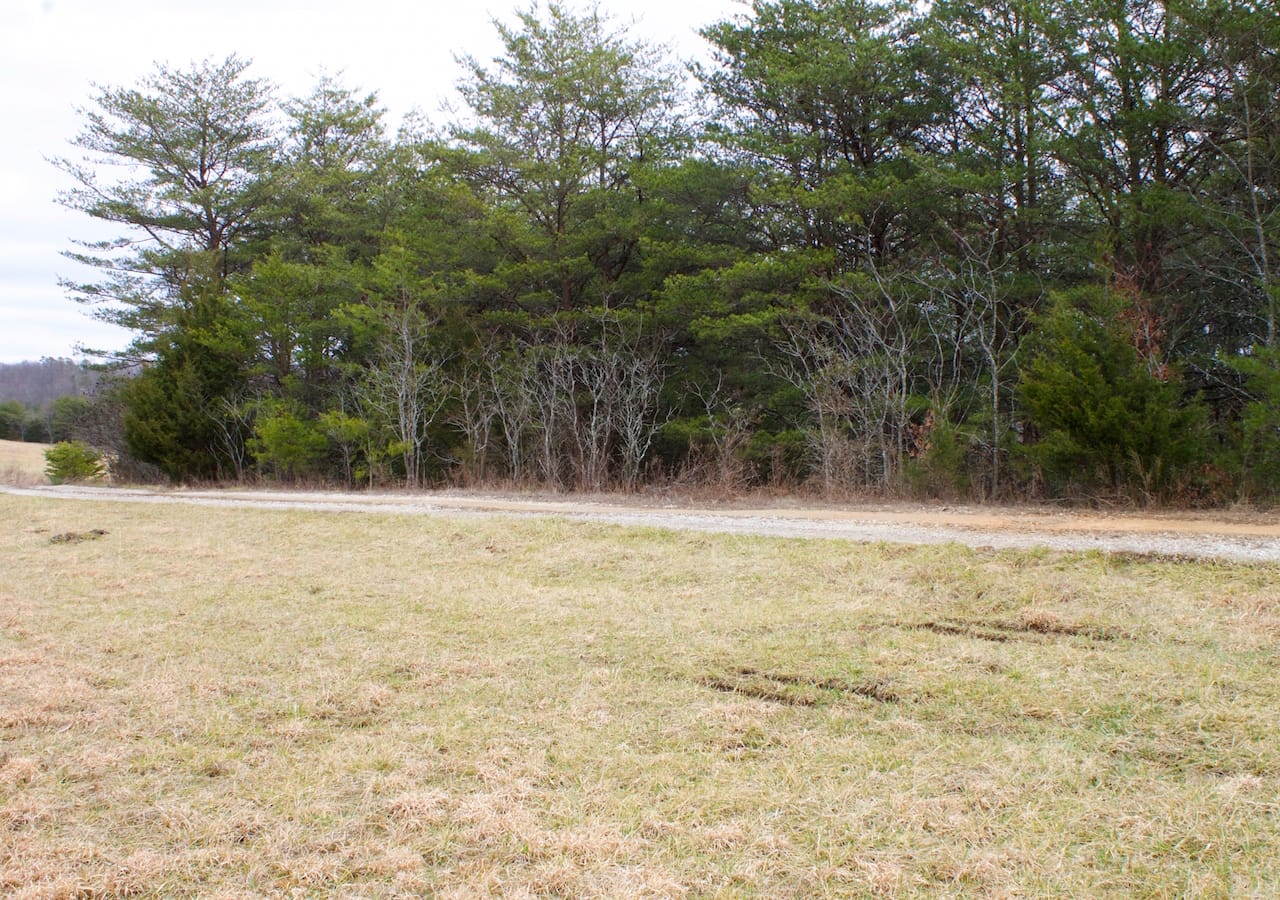 Majestic Rock Ranch Tract 2 photo 11