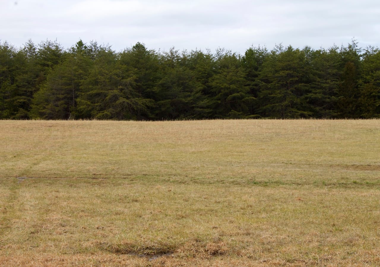 Majestic Rock Ranch Tract 2 photo 12
