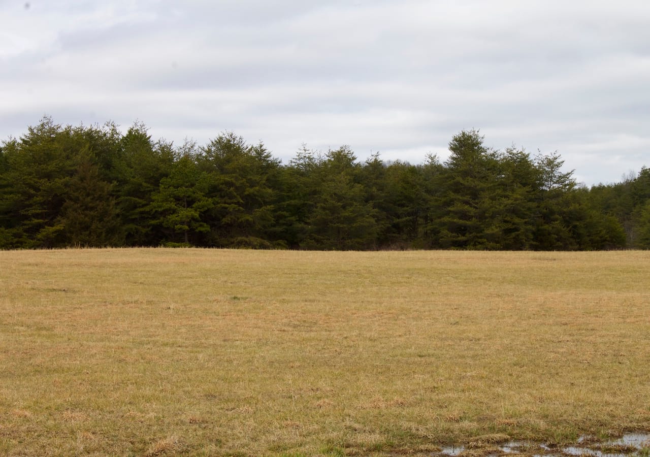 Majestic Rock Ranch Tract 2 photo 15