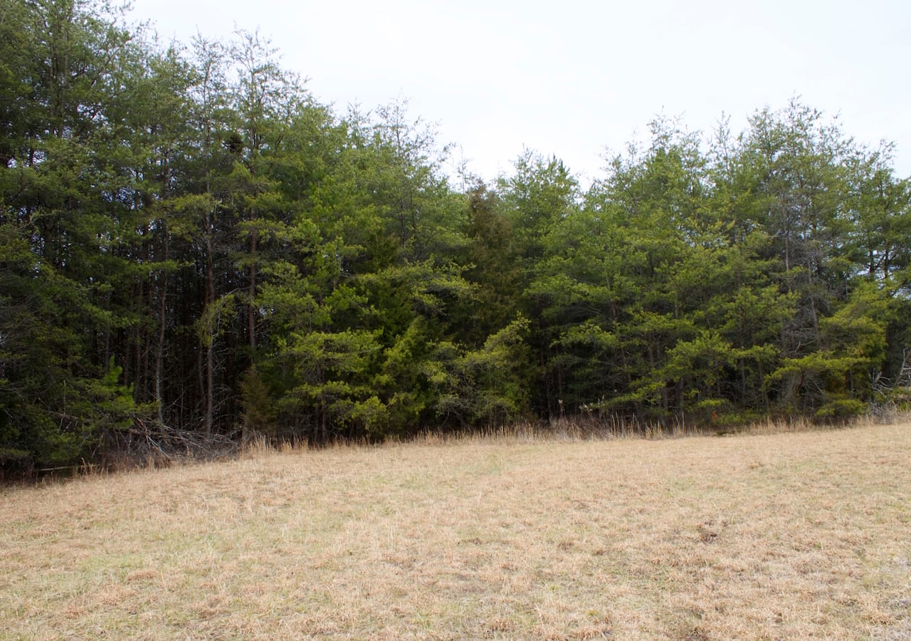 Majestic Rock Ranch Tract 2 photo 18