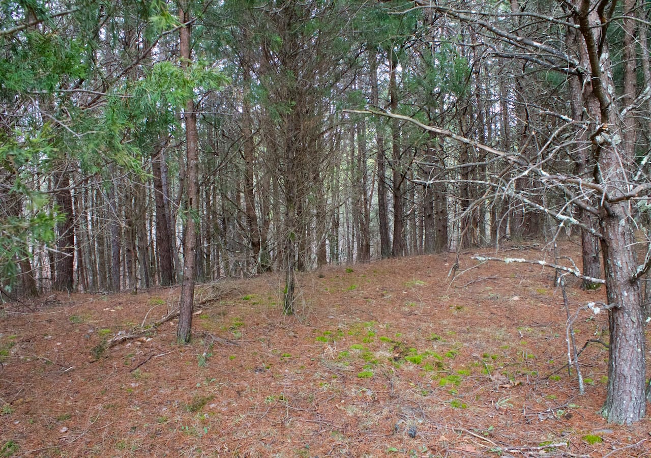 Majestic Rock Ranch Tract 2 photo 20