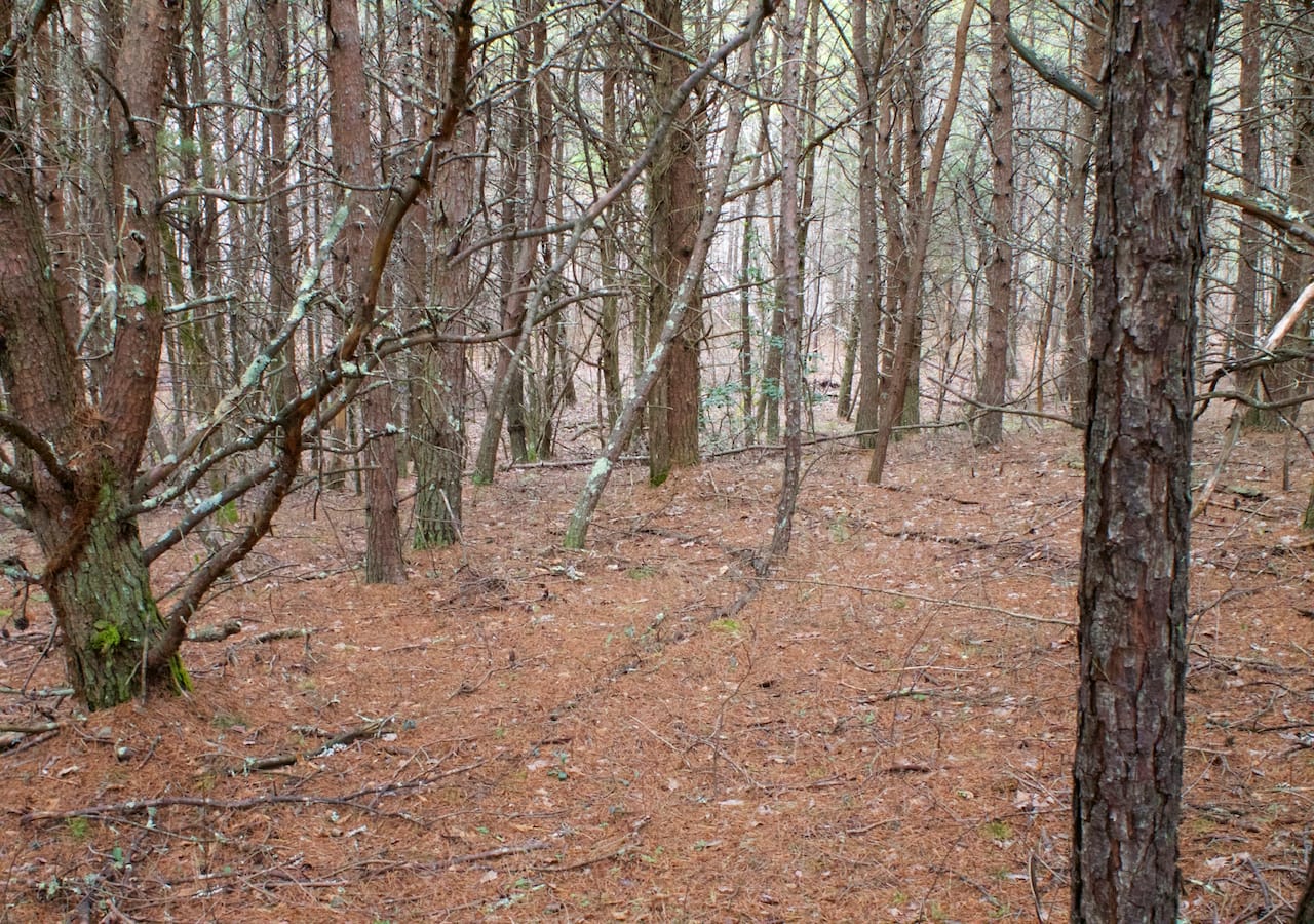 Majestic Rock Ranch Tract 2 photo 21