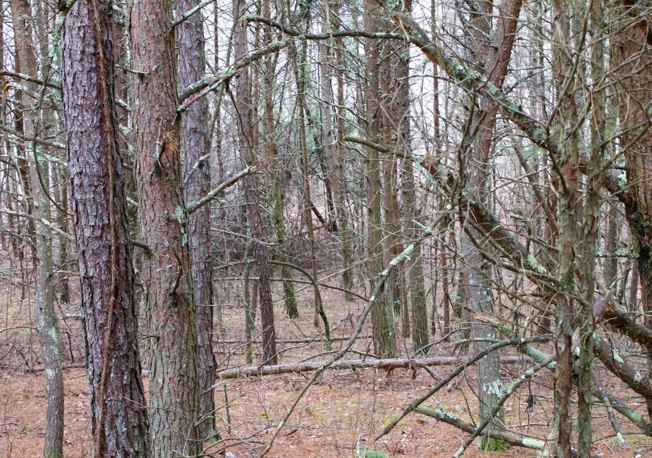 Majestic Rock Ranch Tract 2 photo 23