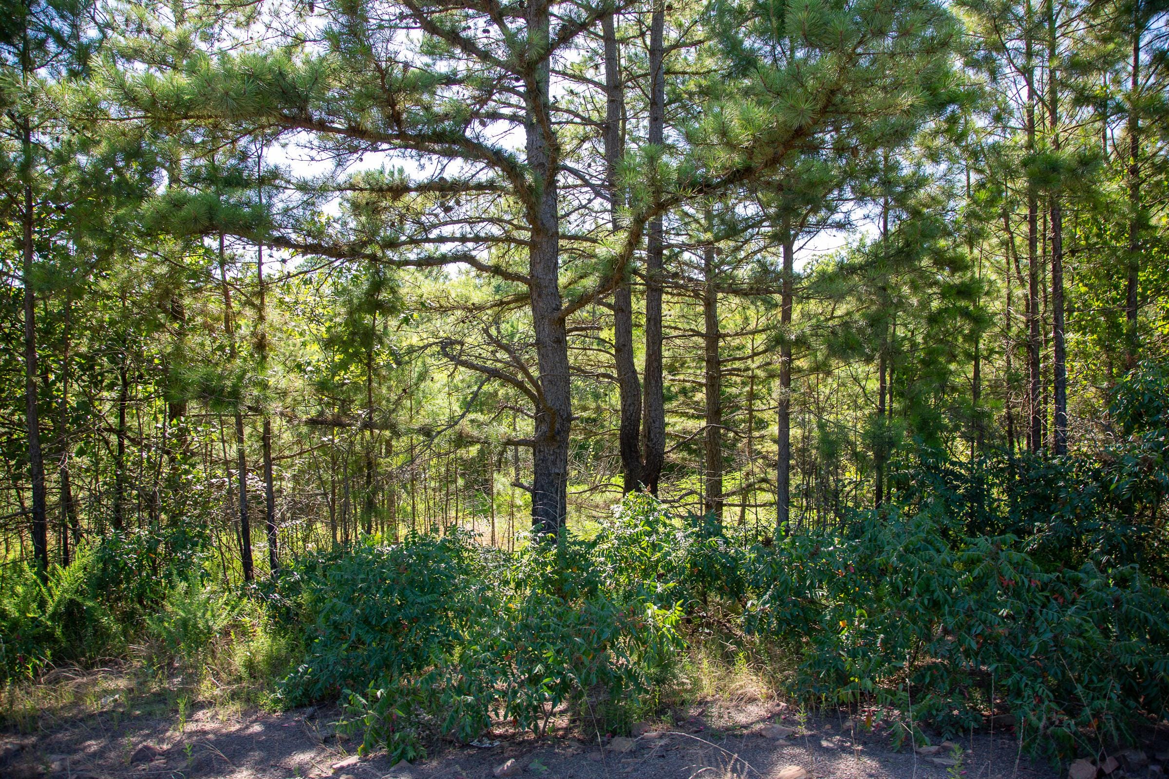 Tyler Stone Ranch Tract 8 photo 1