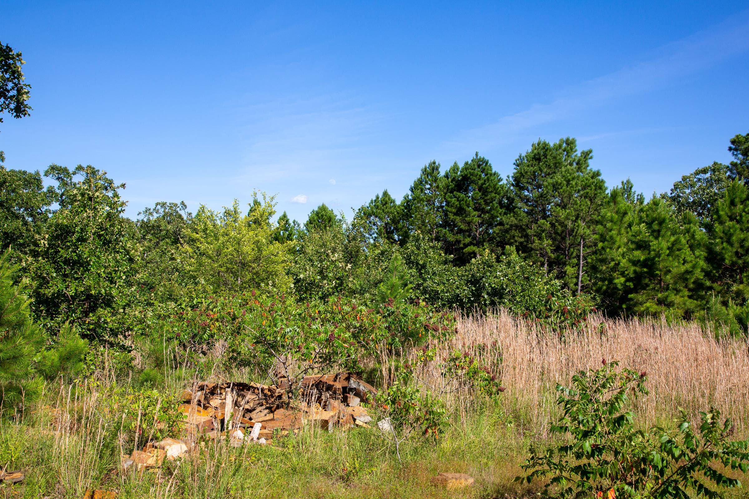 Tyler Stone Ranch Tract 8 photo 5