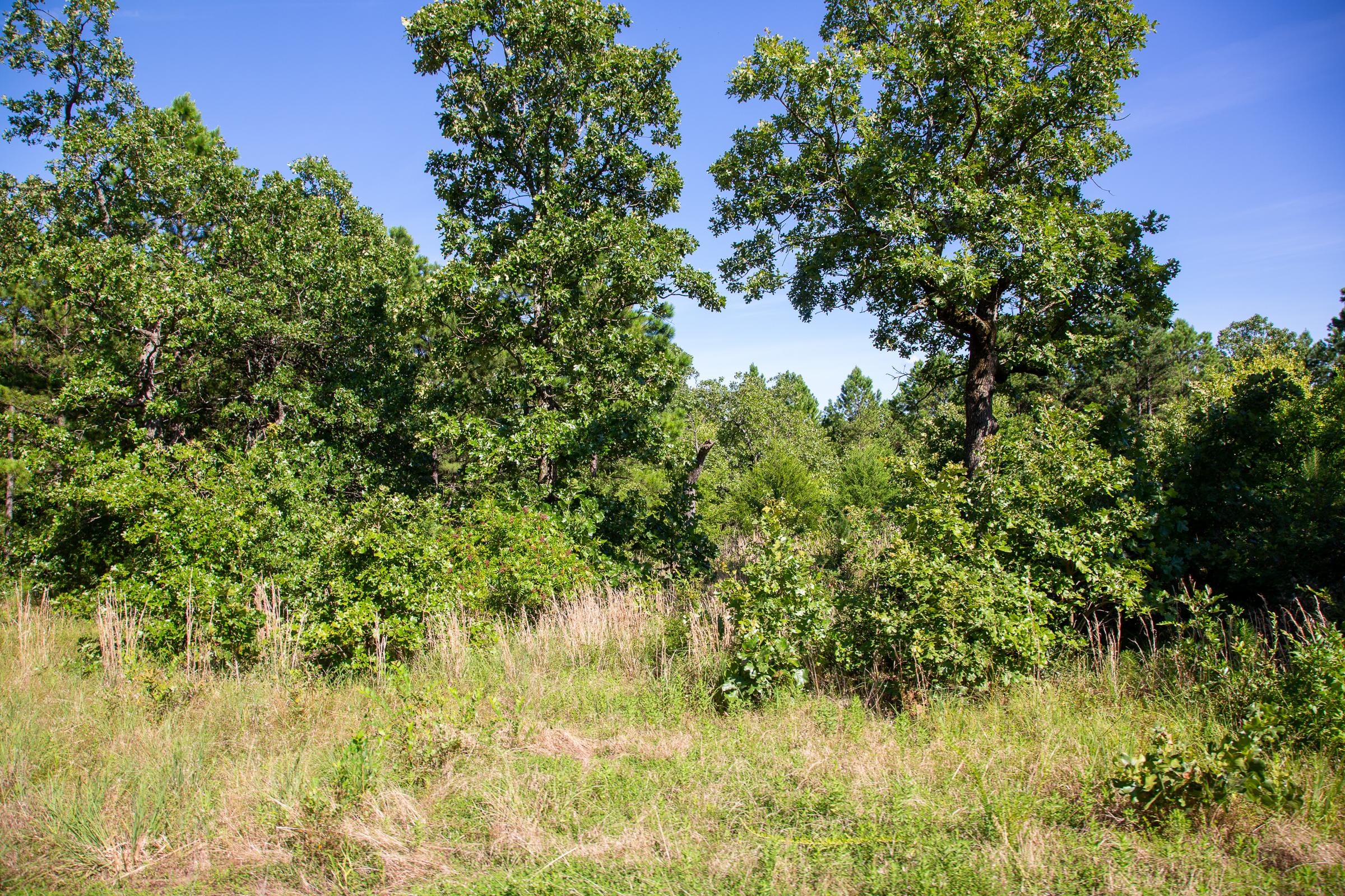 Tyler Stone Ranch Tract 8 photo 6