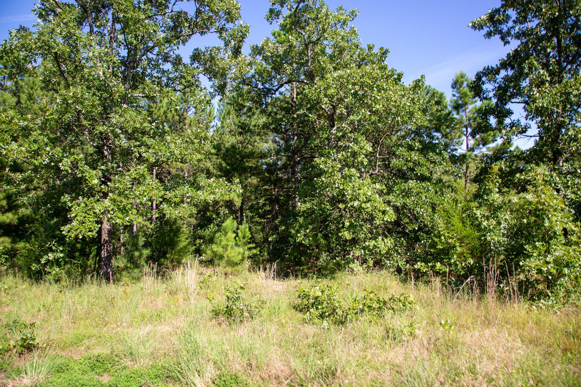 Tyler Stone Ranch Tract 8 photo 8