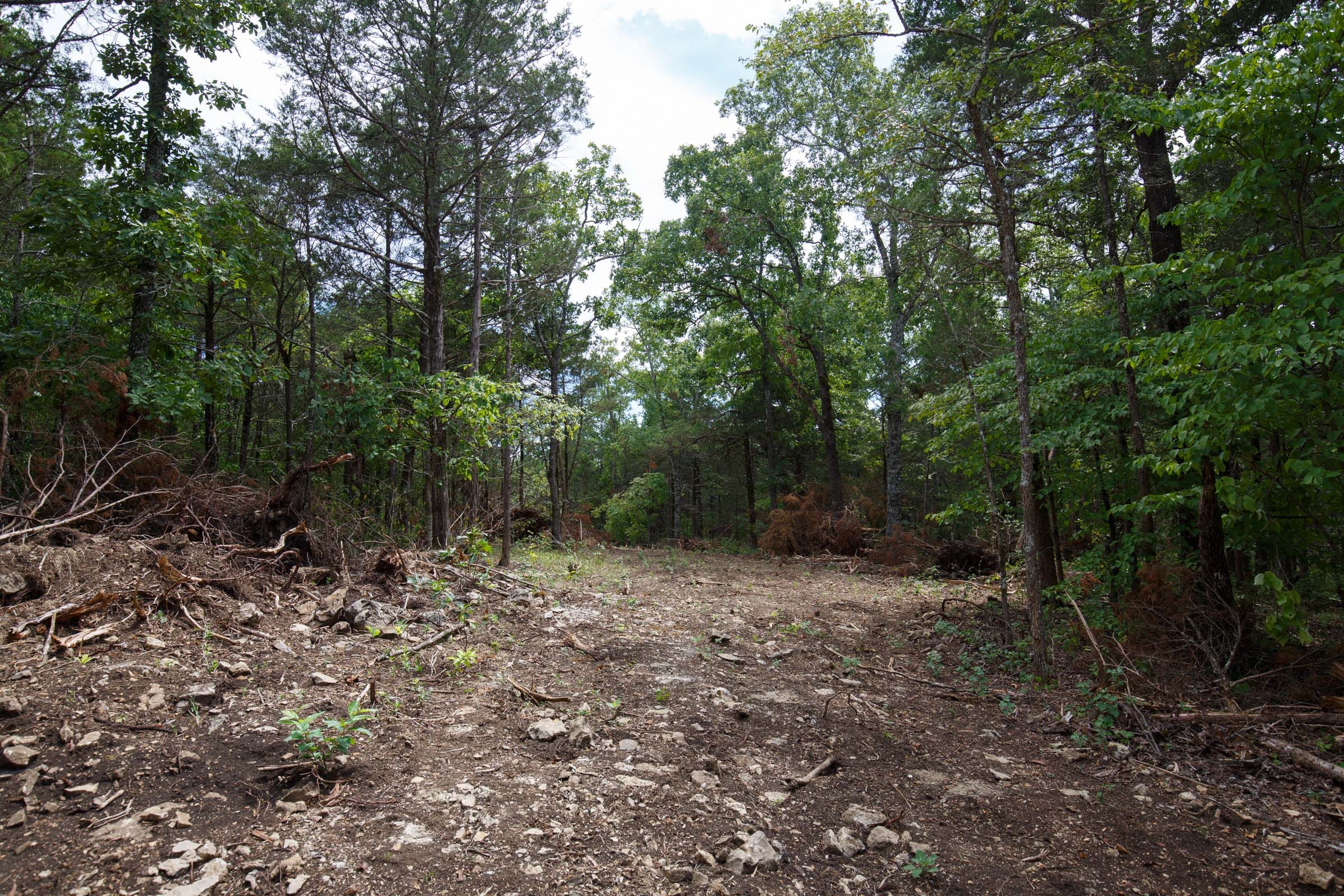 Wildwood Tract 18 photo 10