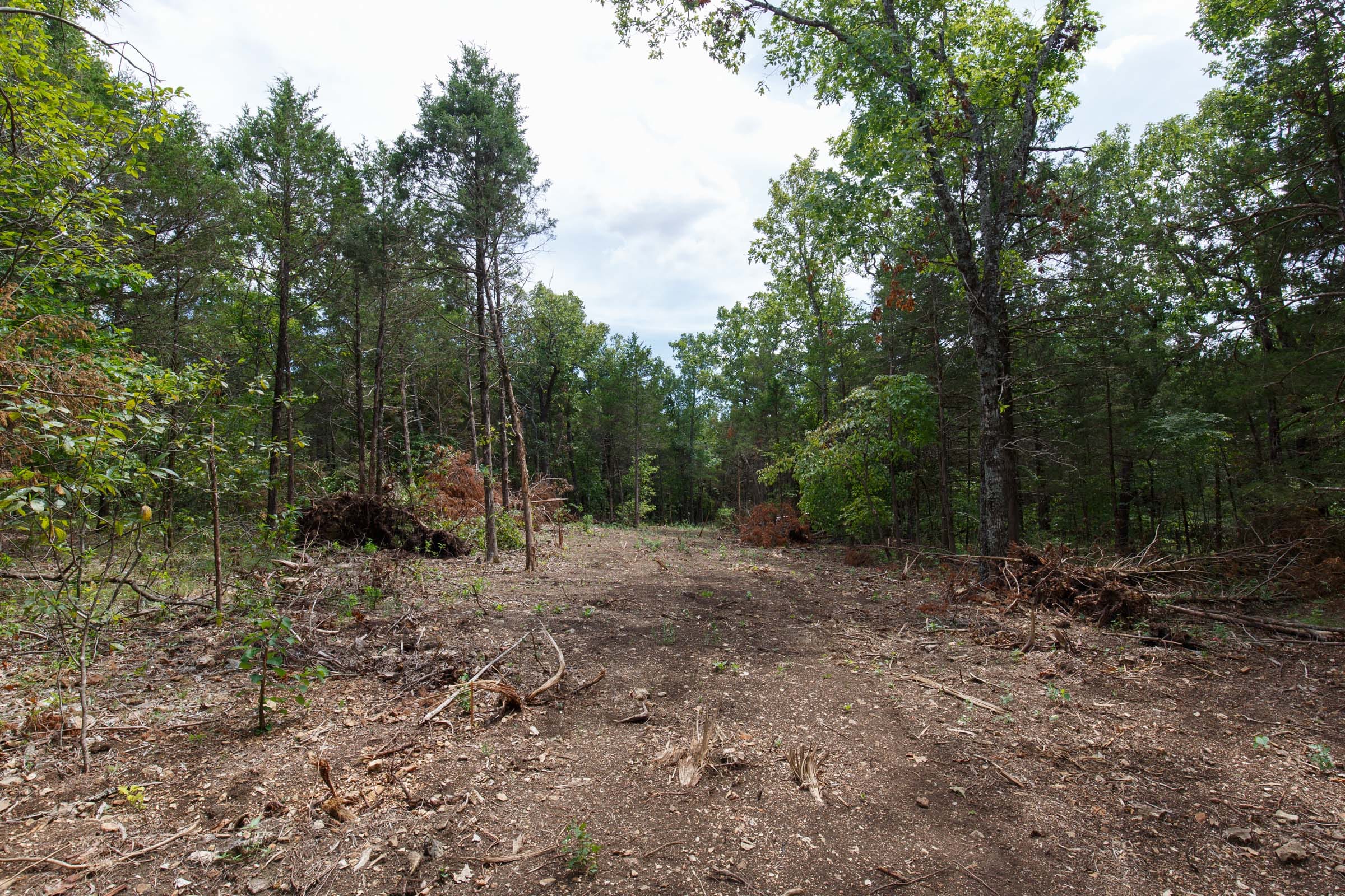 Wildwood Tract 18 photo 5