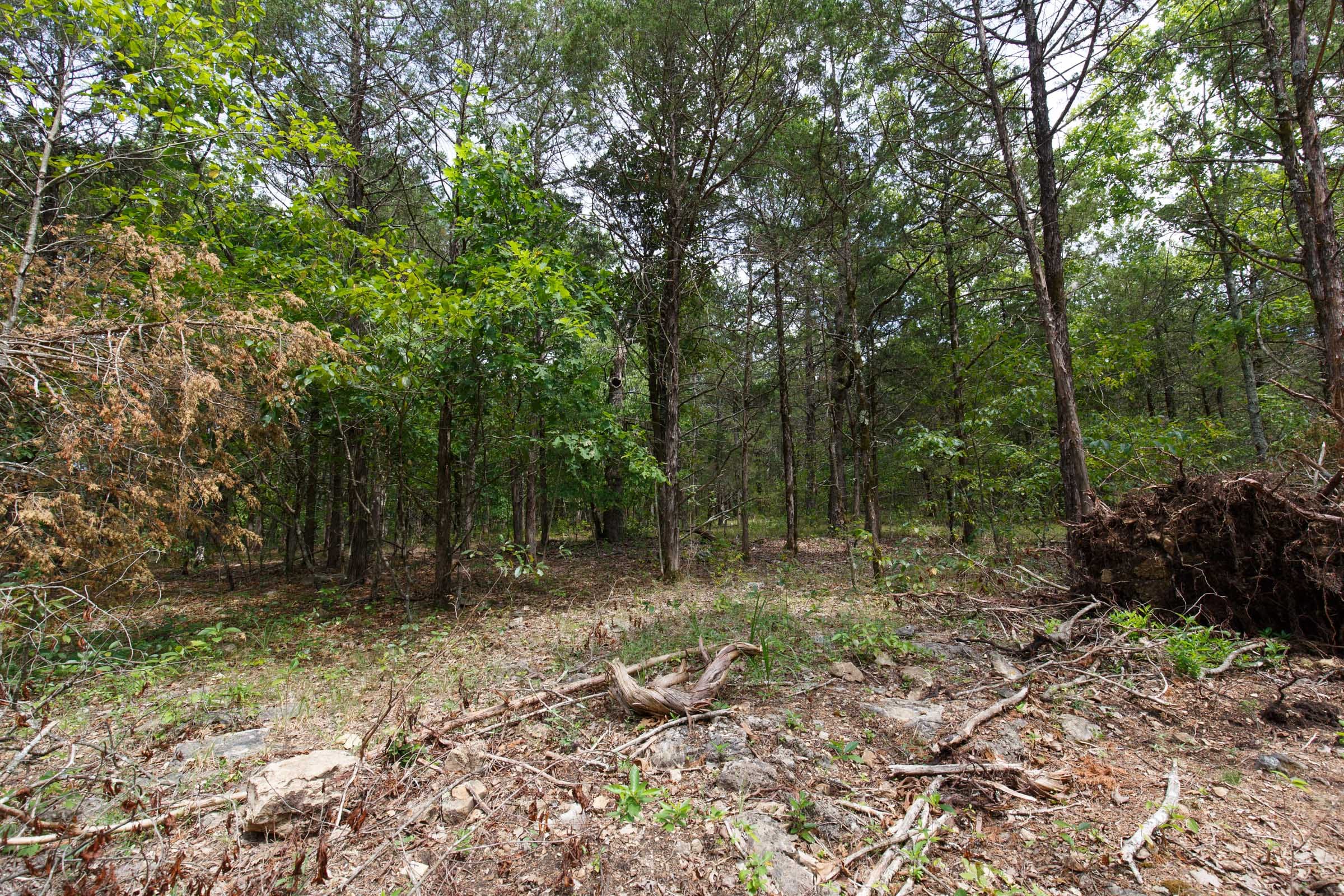 Wildwood Tract 18 photo 9