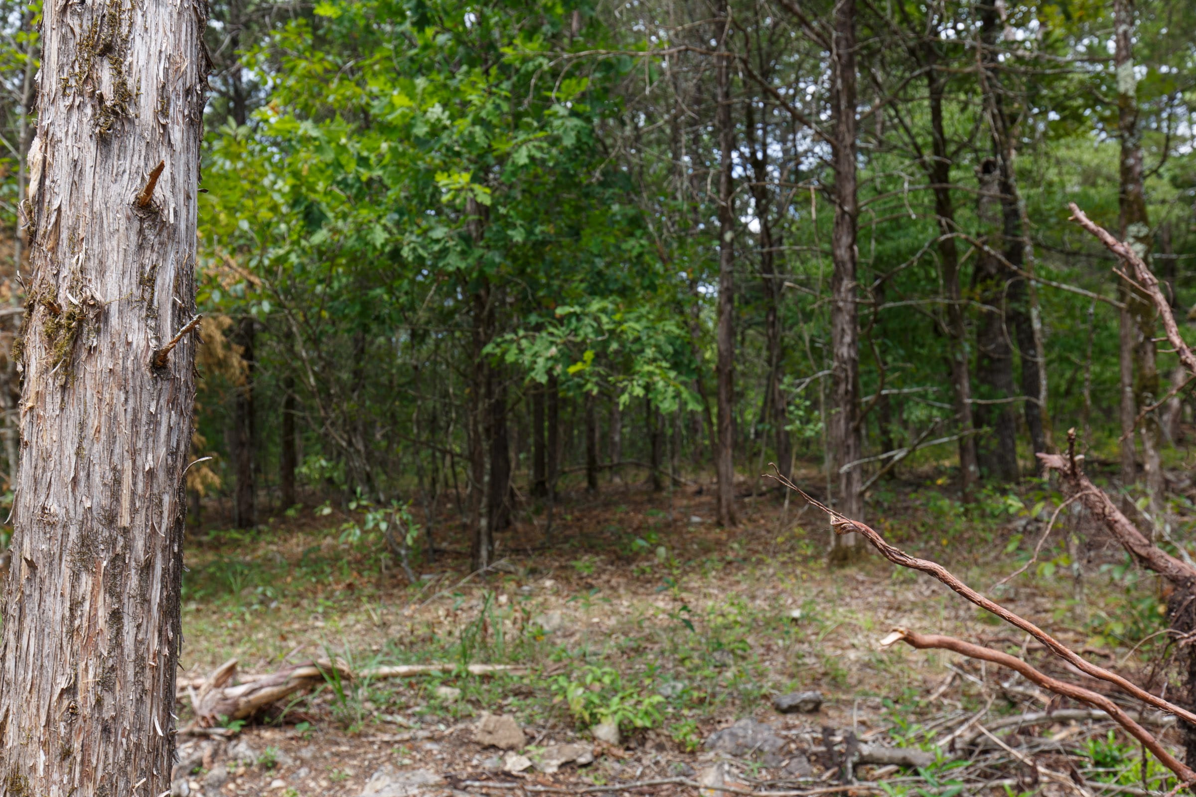 Wildwood Tract 18 photo 2
