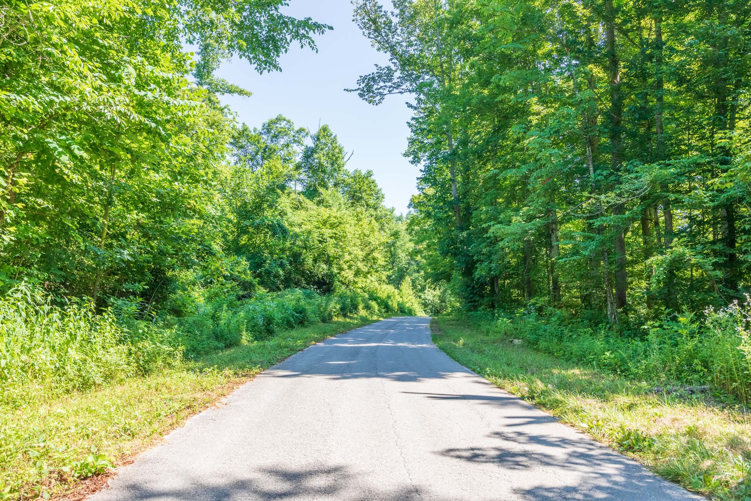 River’s Edge Tract 37 photo 6