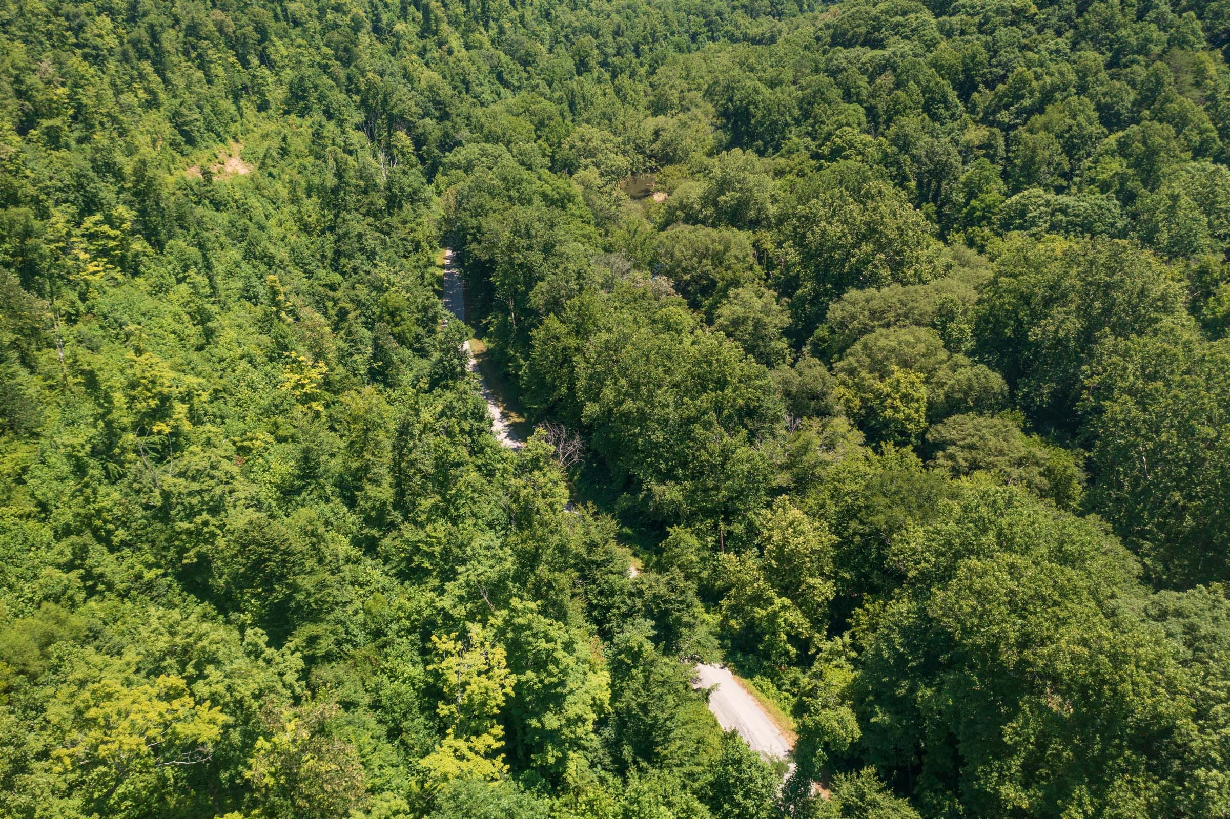 River’s Edge Tract 37 photo 10