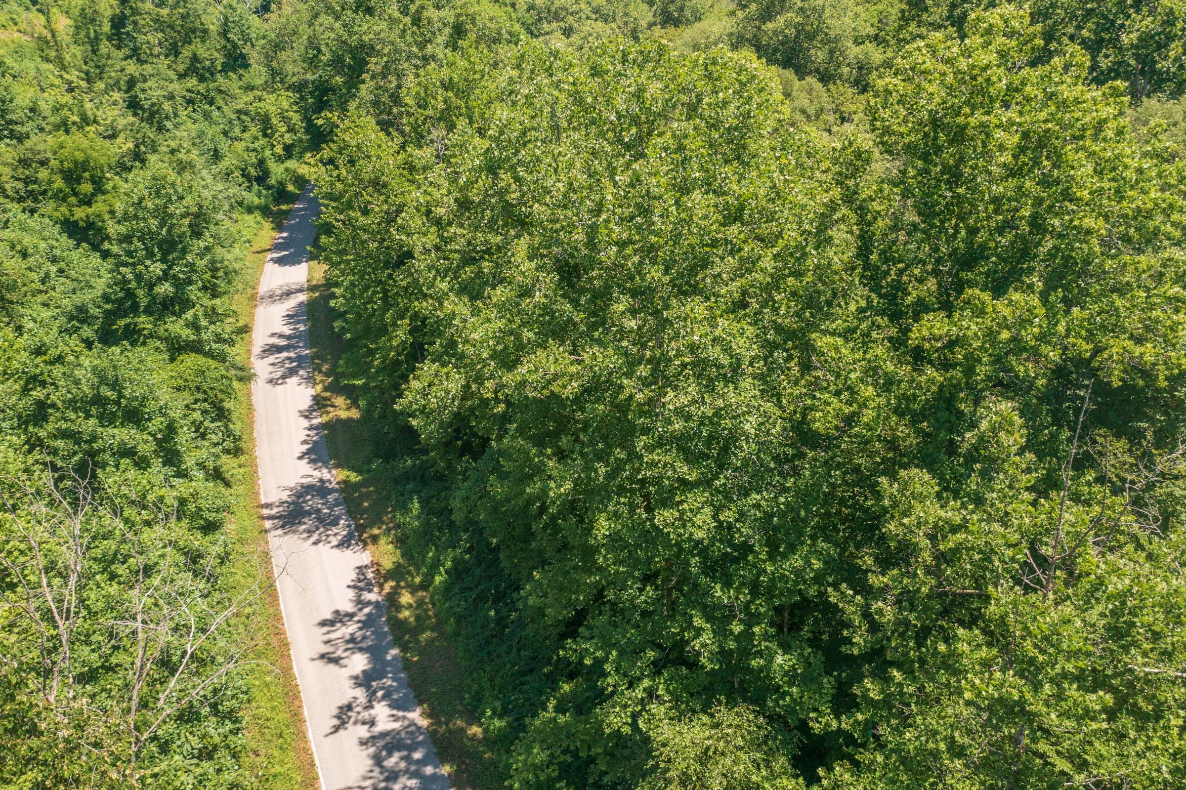 River’s Edge Tract 37 photo 11